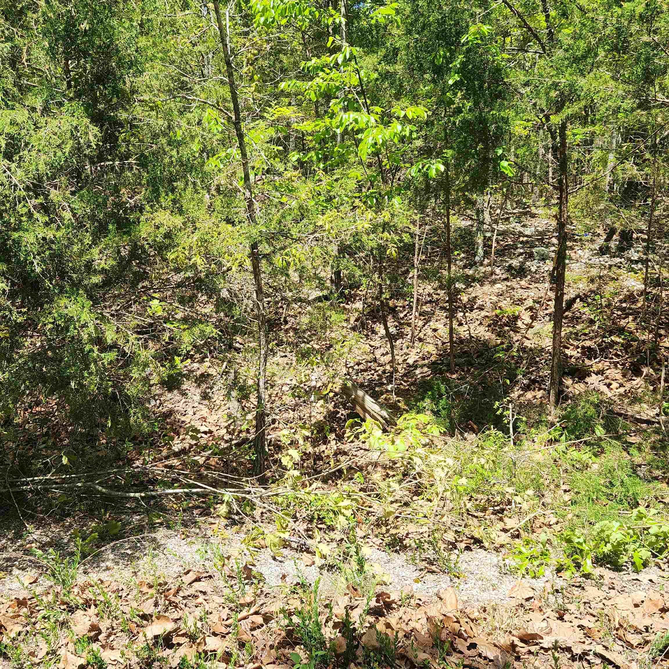 L-64 B-1 Kayenta  Cherokee Village, AR