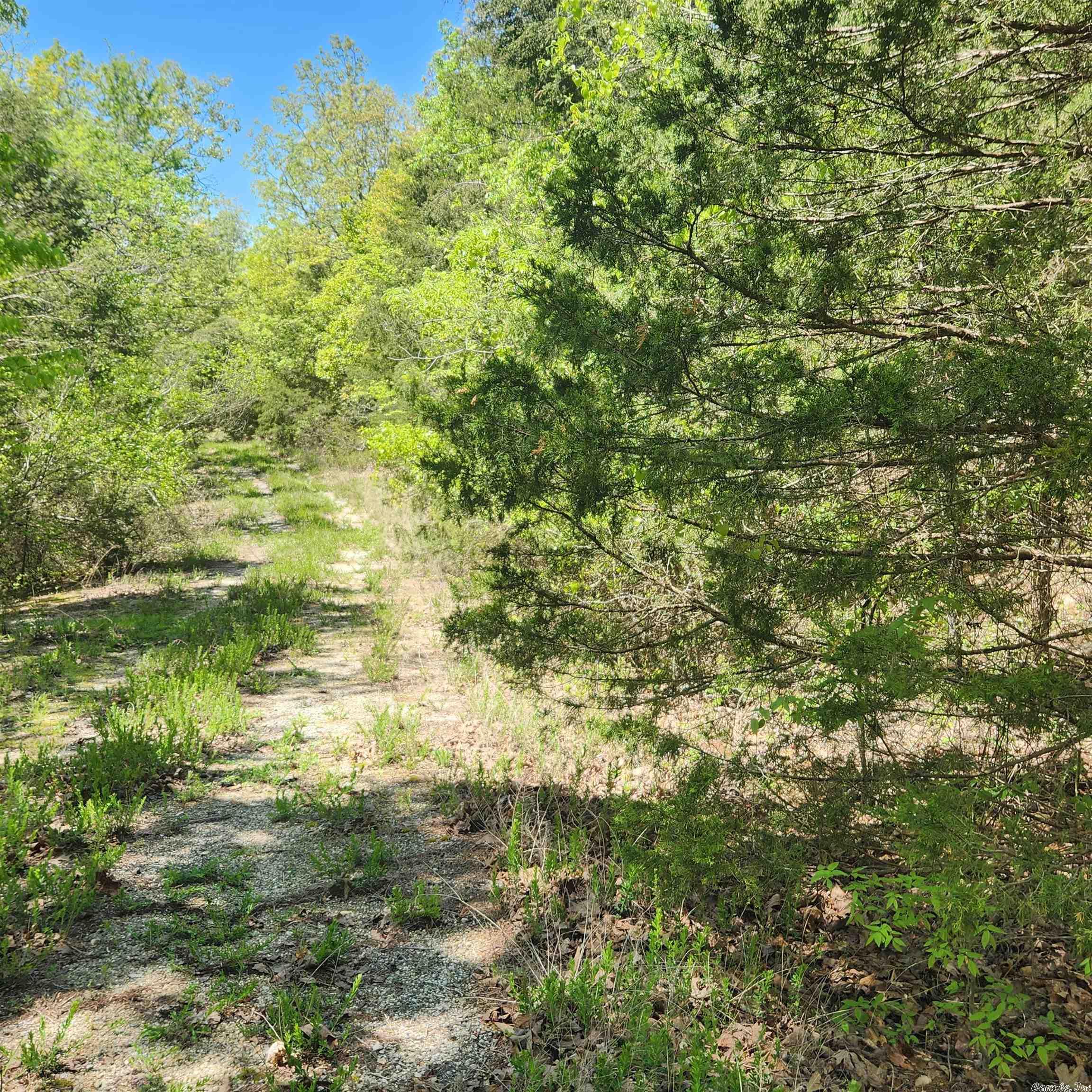 L-64 B-1 Kayenta  Cherokee Village, AR