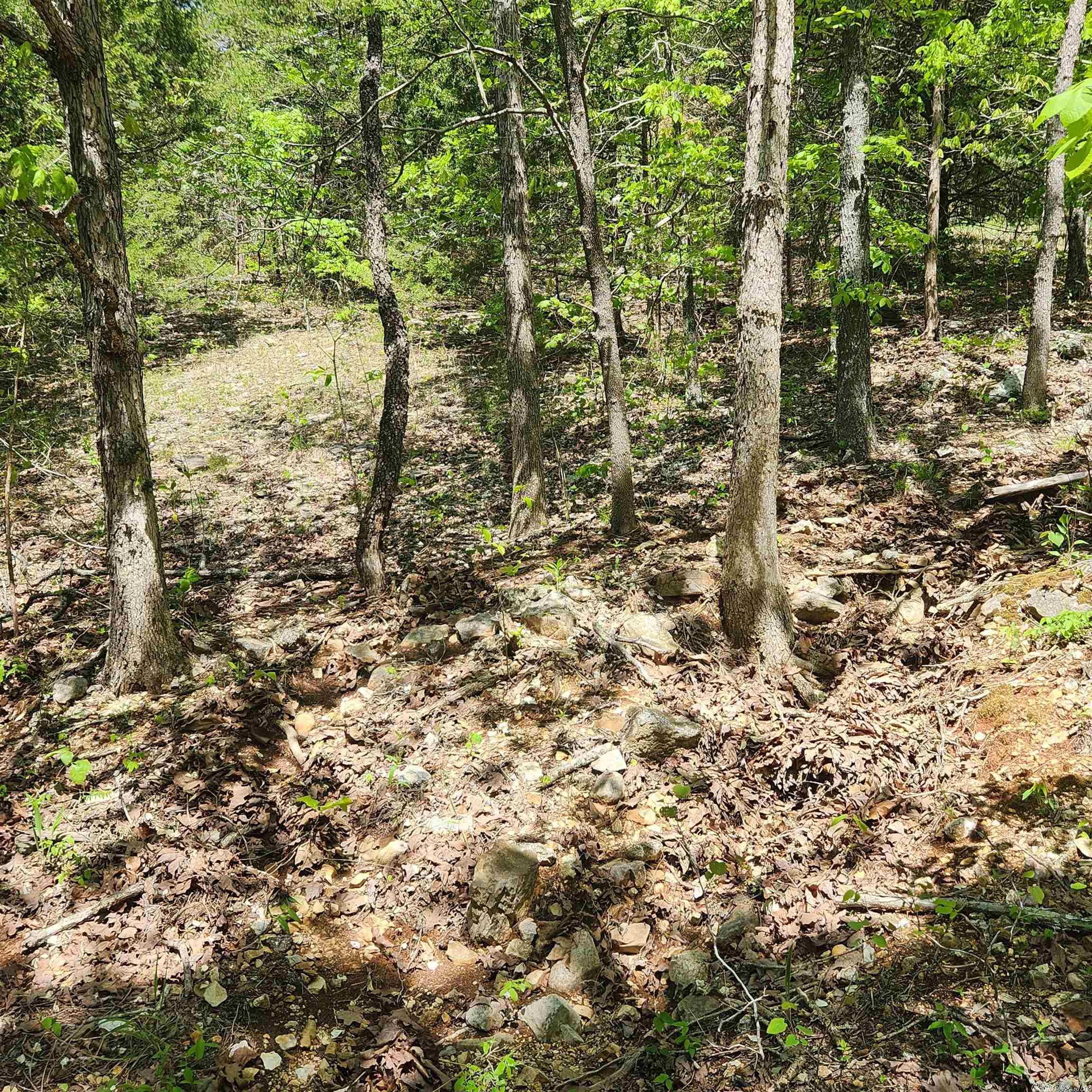 L-64 B-1 Kayenta  Cherokee Village, AR