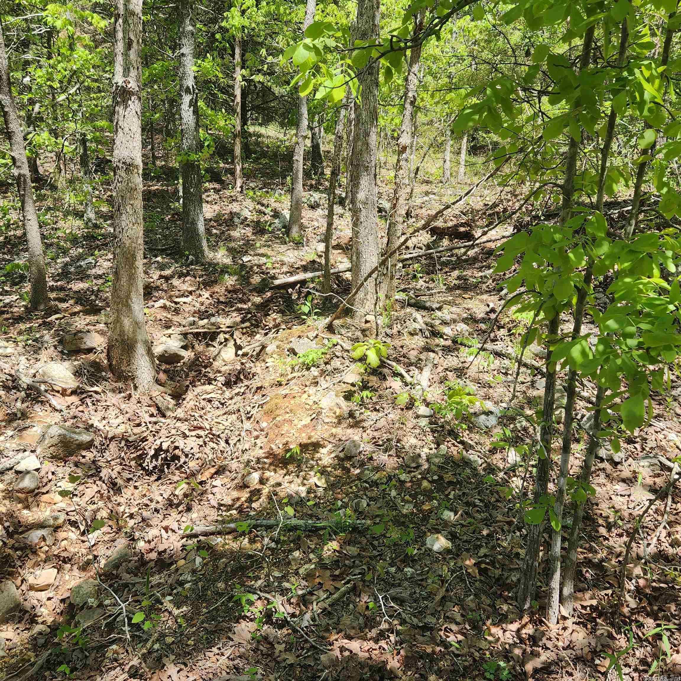 L-64 B-1 Kayenta  Cherokee Village, AR