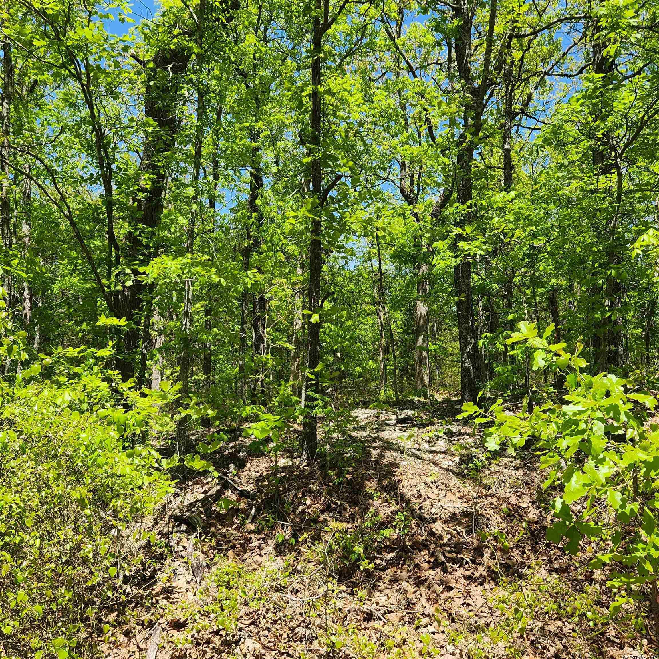 L-65 B-1 Kayenta  Cherokee Village, AR