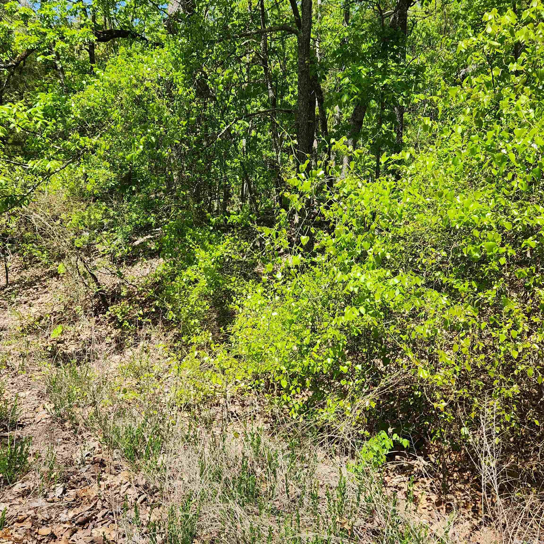 L-65 B-1 Kayenta  Cherokee Village, AR