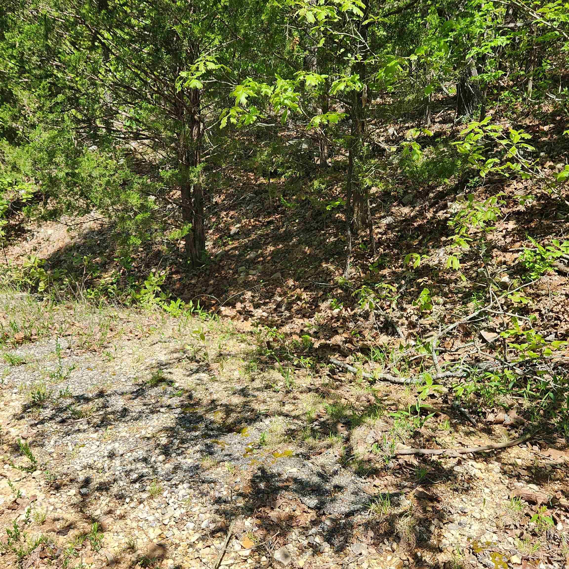 L-69 B-1 Kayenta  Cherokee Village, AR