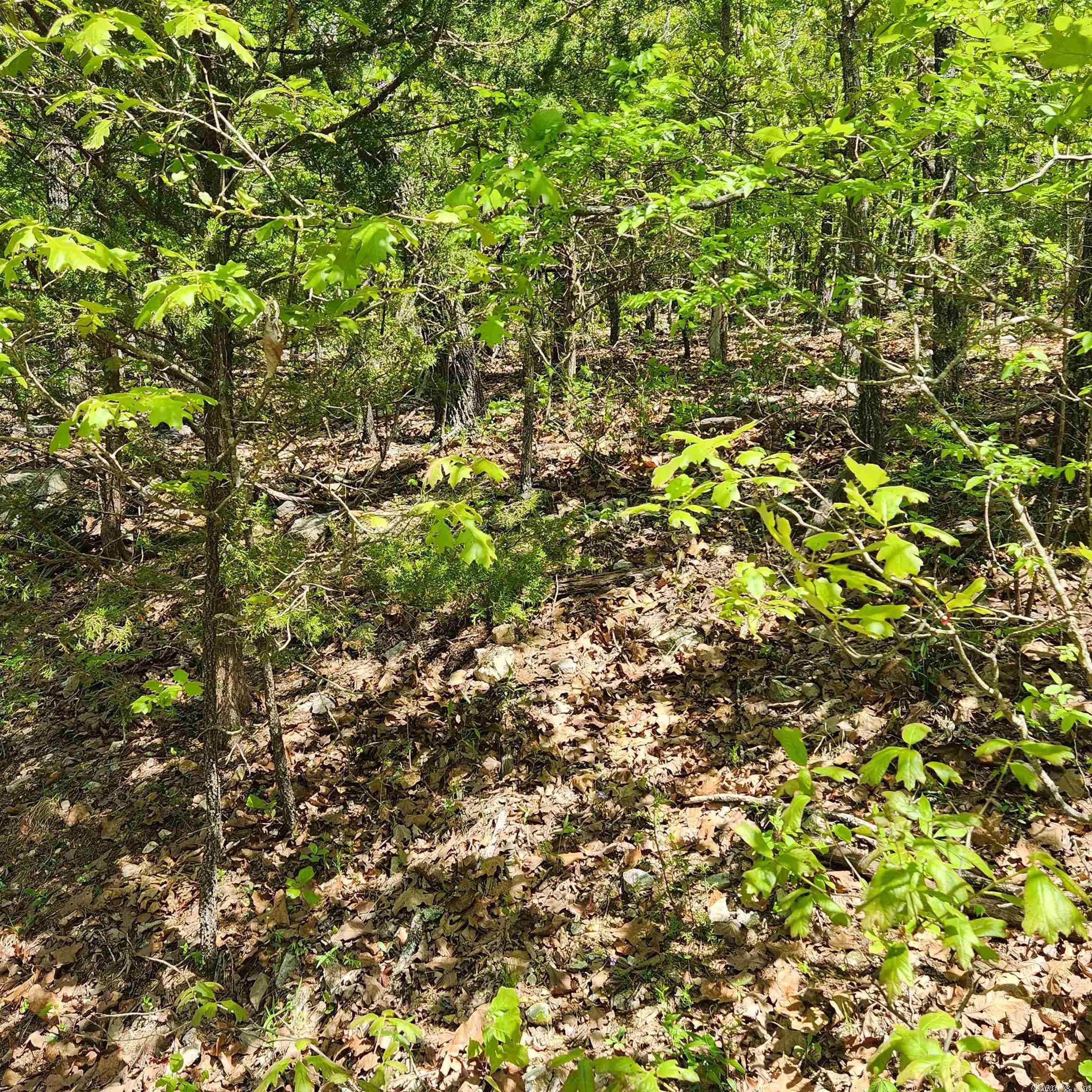 L-69 B-1 Kayenta  Cherokee Village, AR