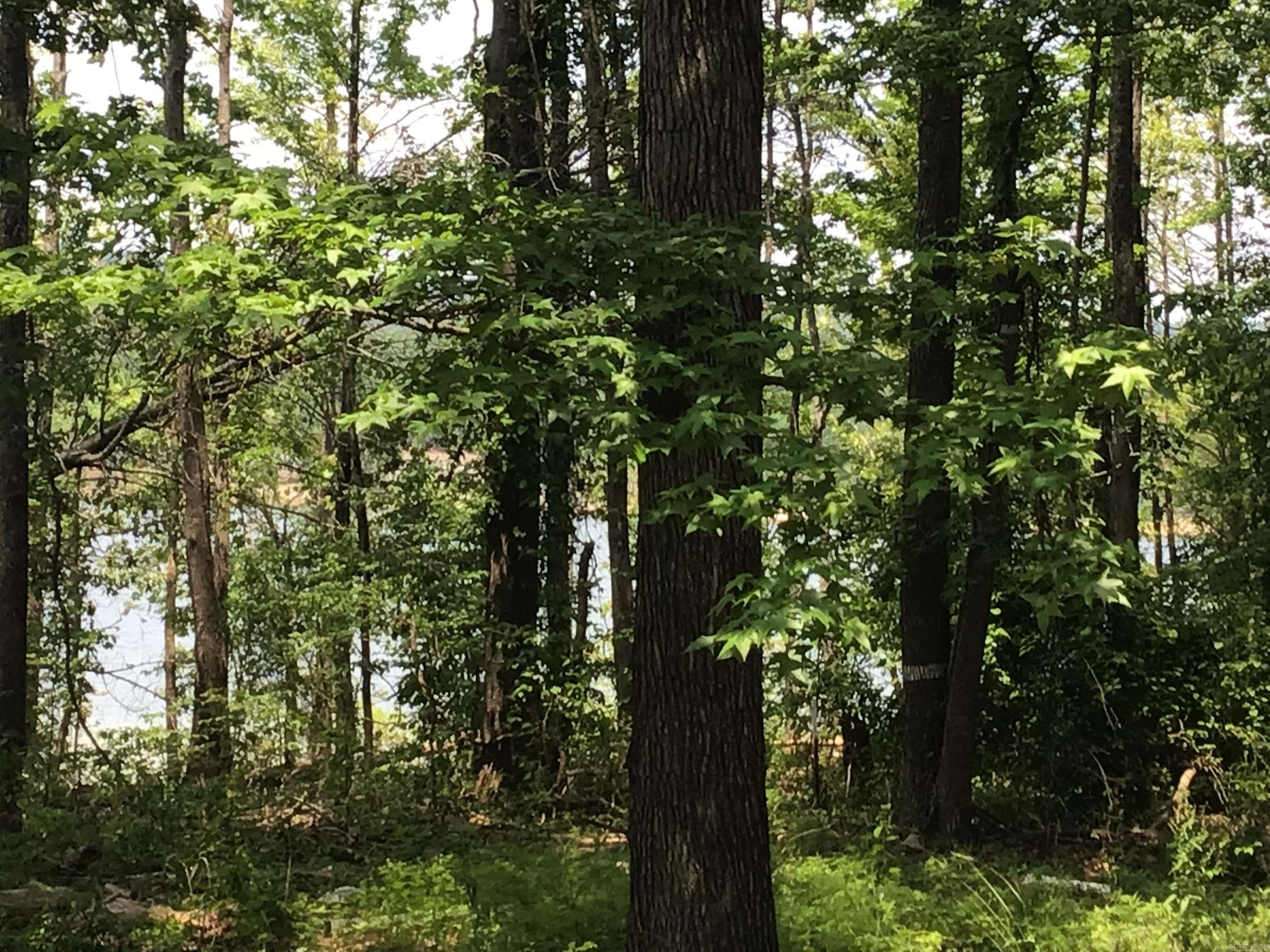 L58 Davidson  Edgemont, AR