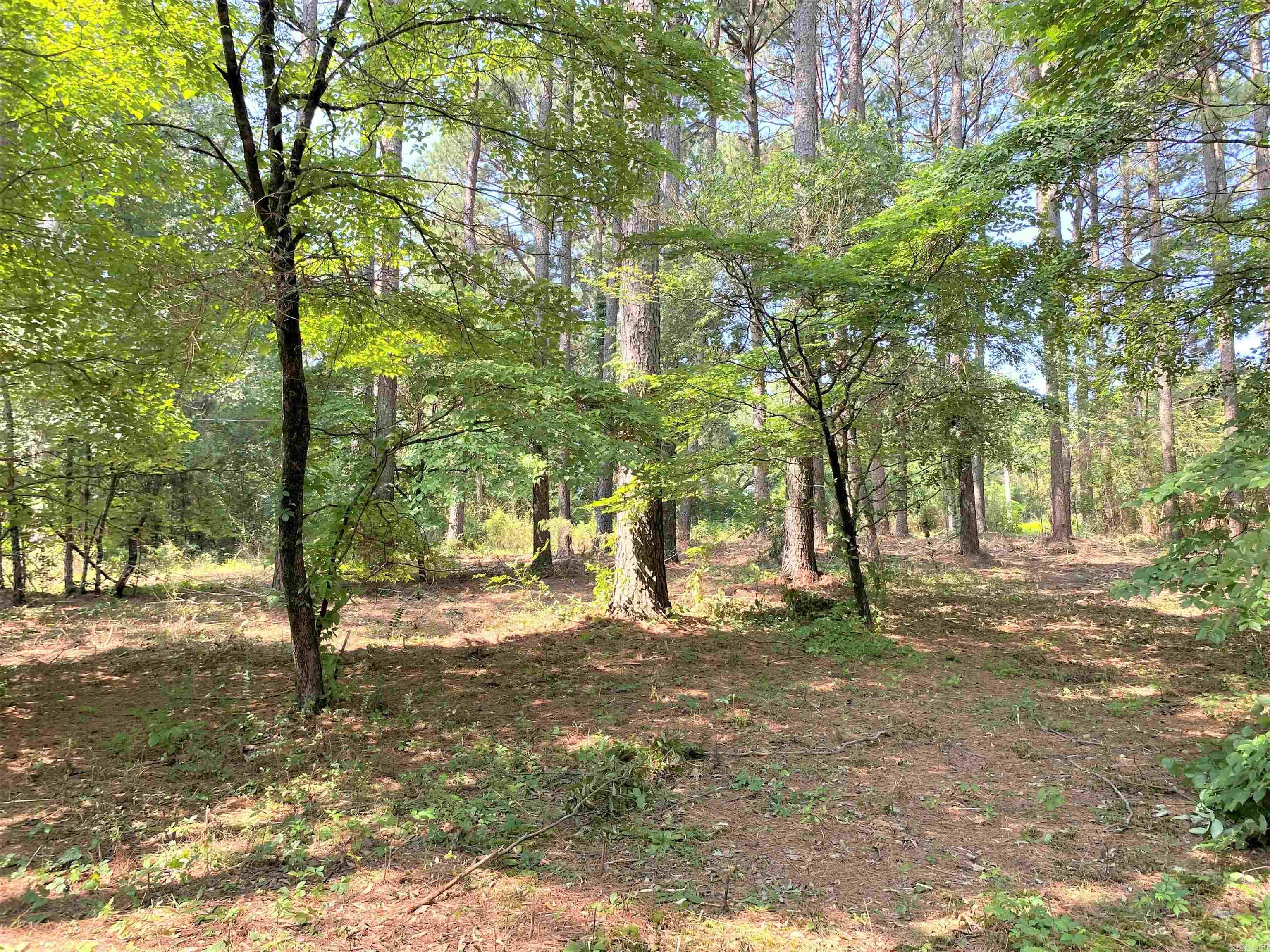 Lot 26 Scenic  Heber Springs, AR