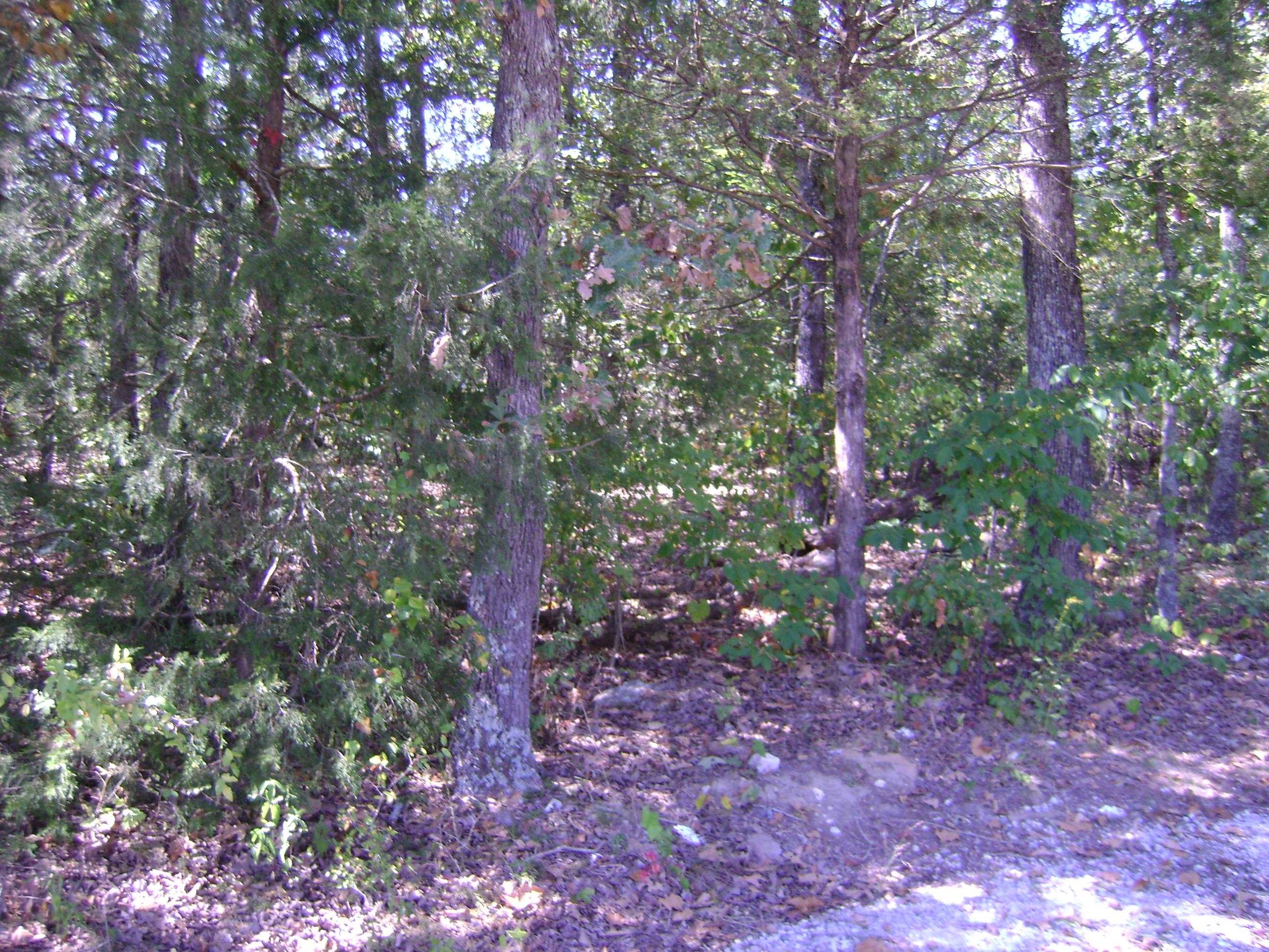 1711 Pleasant Valley Dr. 1108 Fairwater Circle Horseshoe Bend, AR