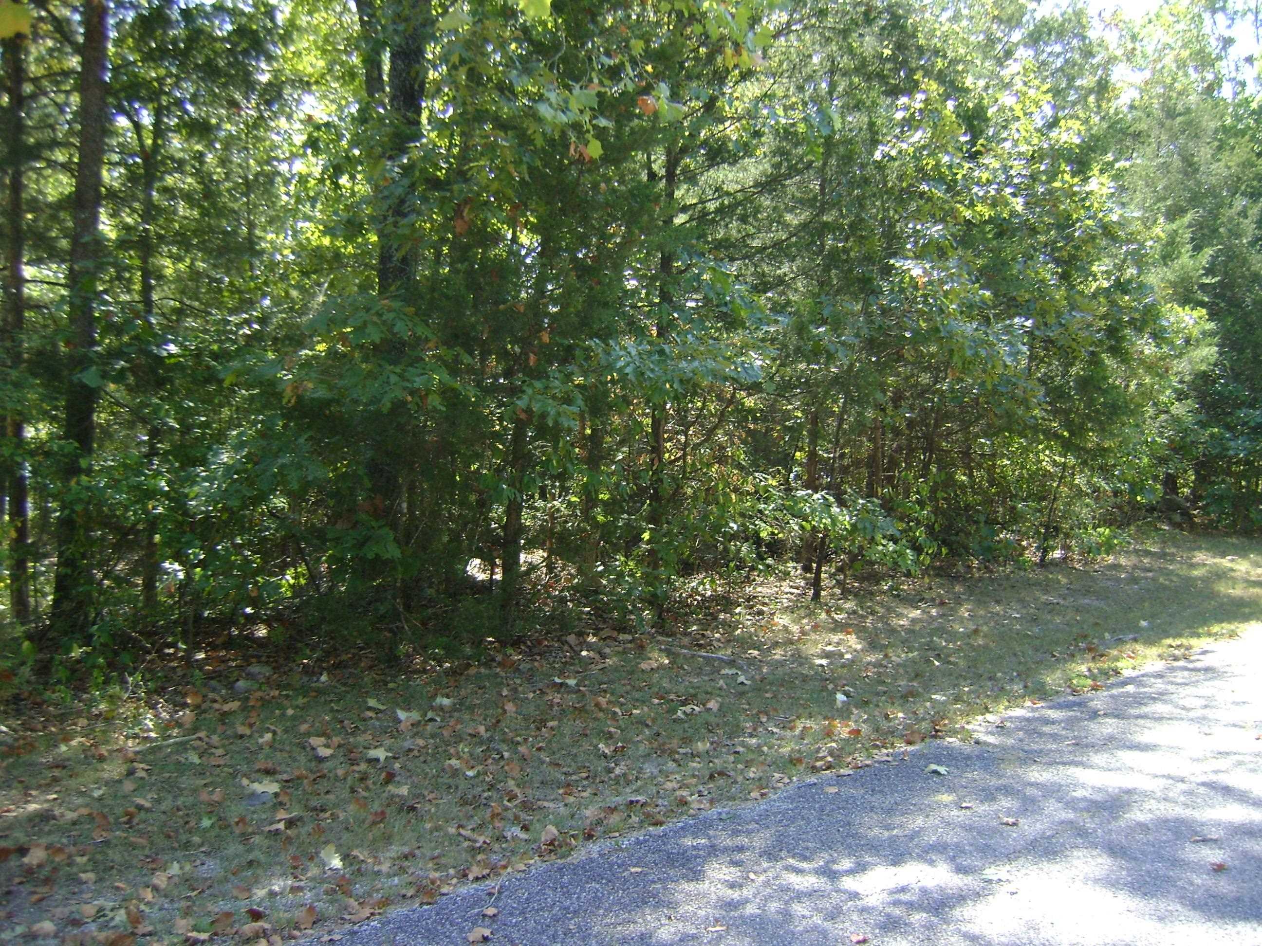 1711 Pleasant Valley Dr. 1108 Fairwater Circle Horseshoe Bend, AR