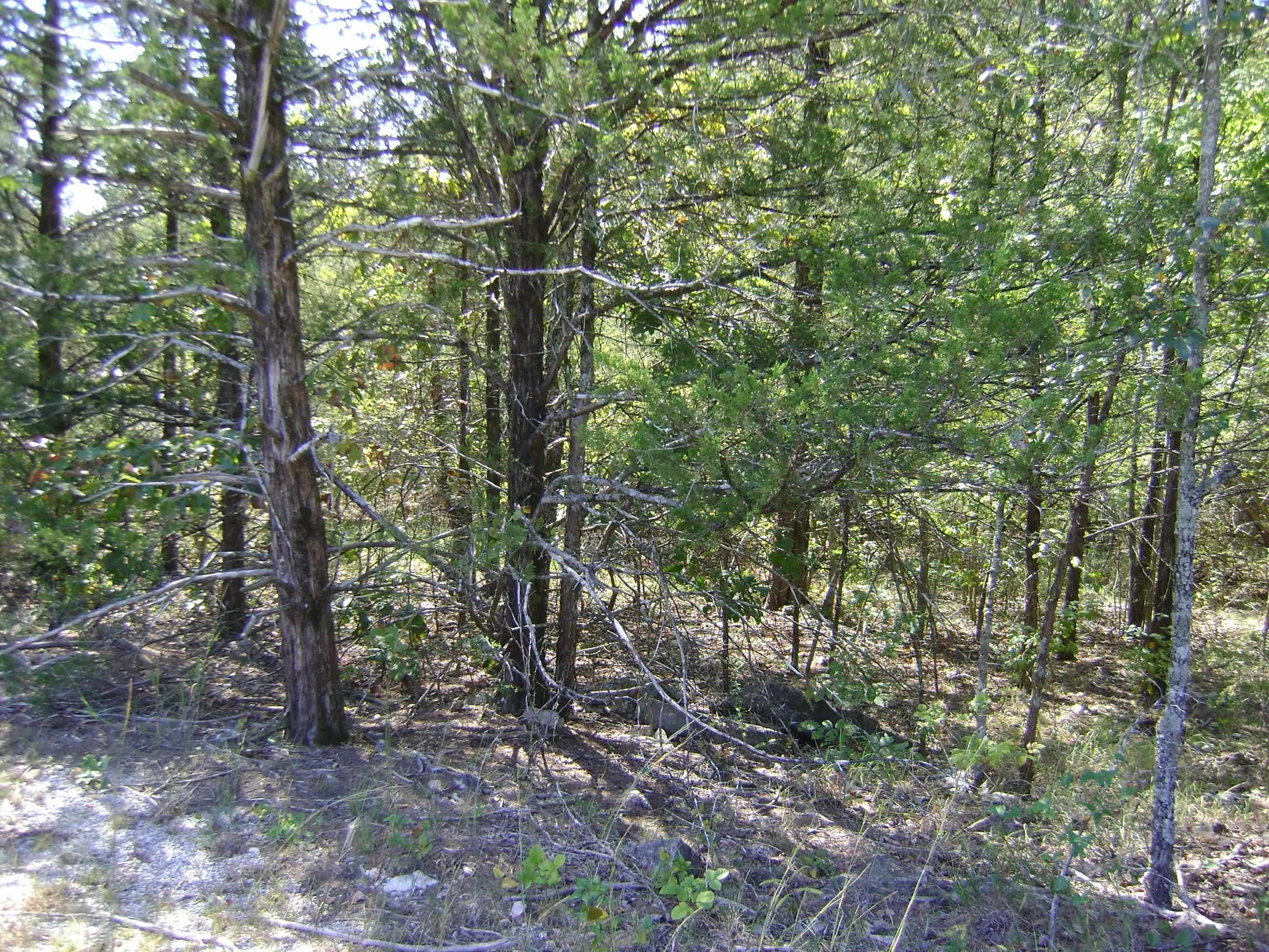 1711 Pleasant Valley Dr. 1108 Fairwater Circle Horseshoe Bend, AR