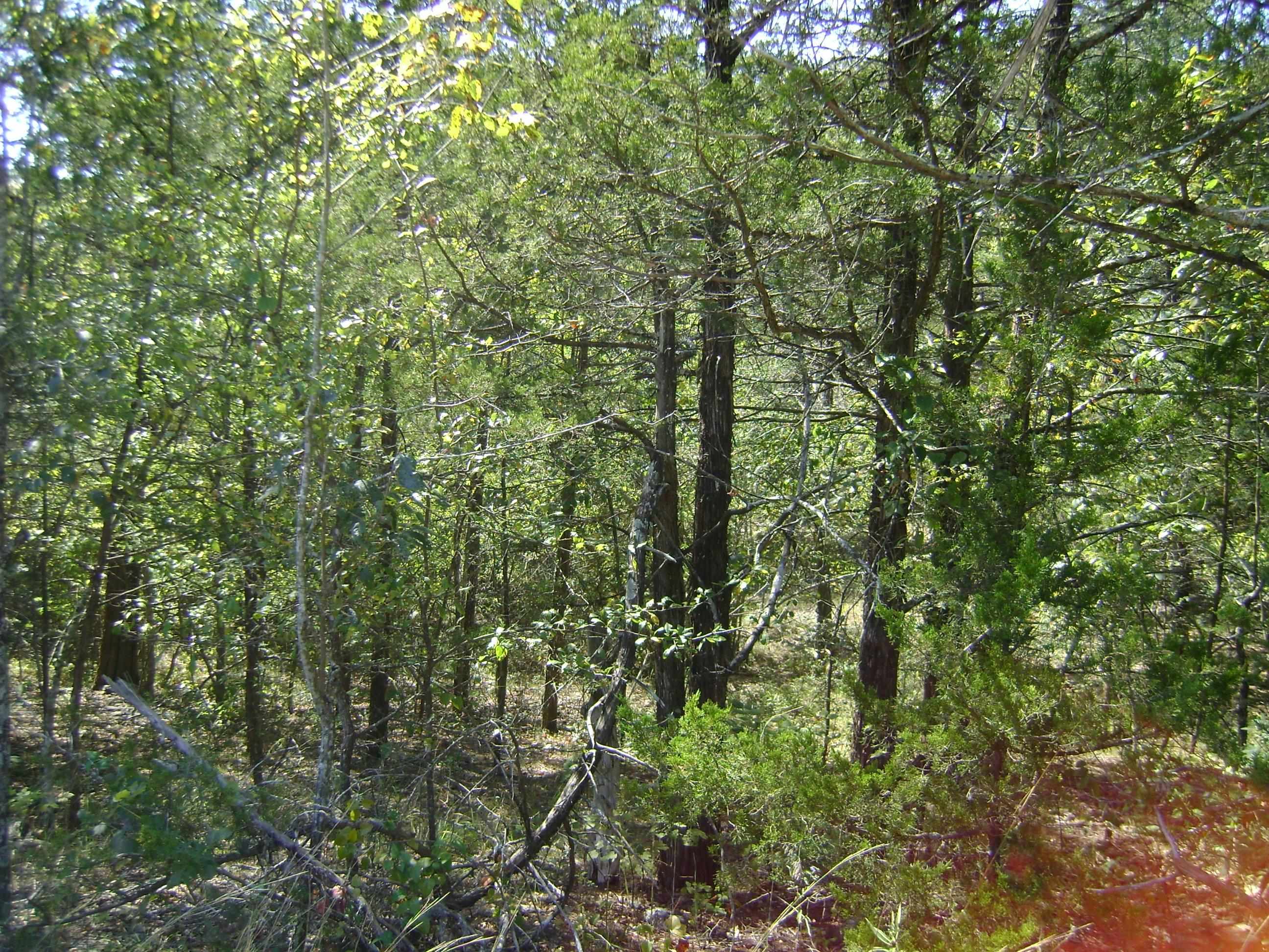 1711 Pleasant Valley Dr. 1108 Fairwater Circle Horseshoe Bend, AR