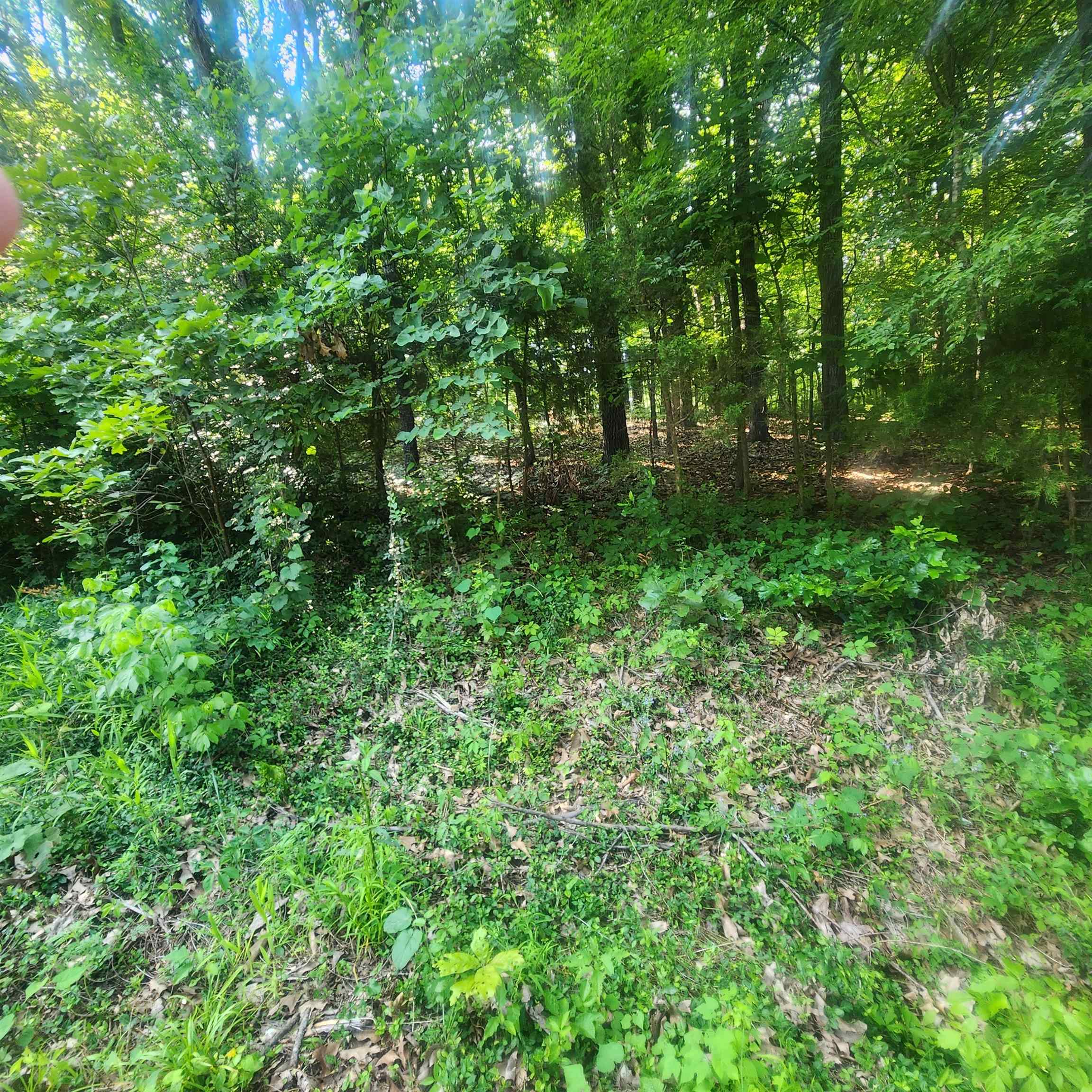 L-25 B-7 Navajo  Cherokee Village, AR