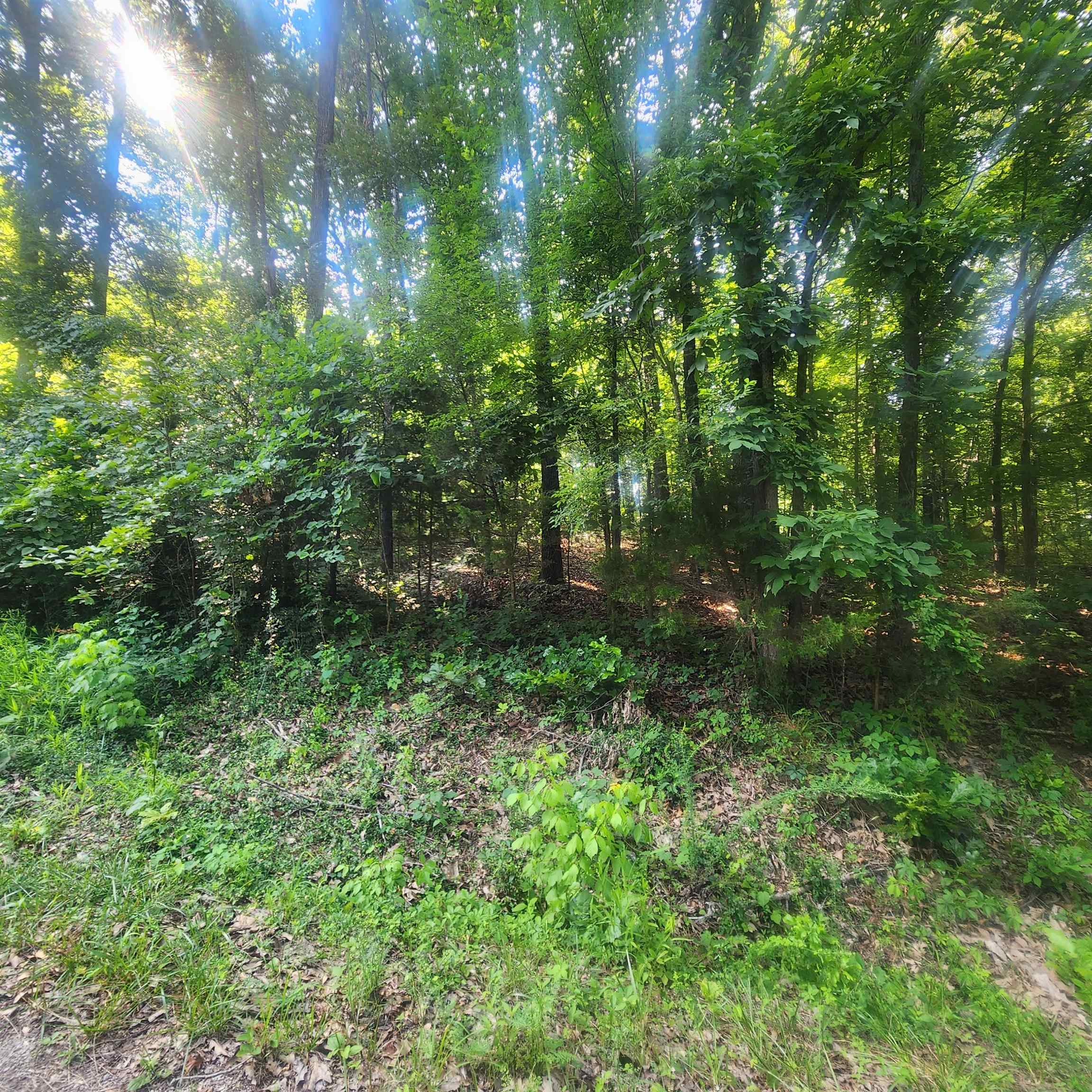 L-25 B-7 Navajo  Cherokee Village, AR