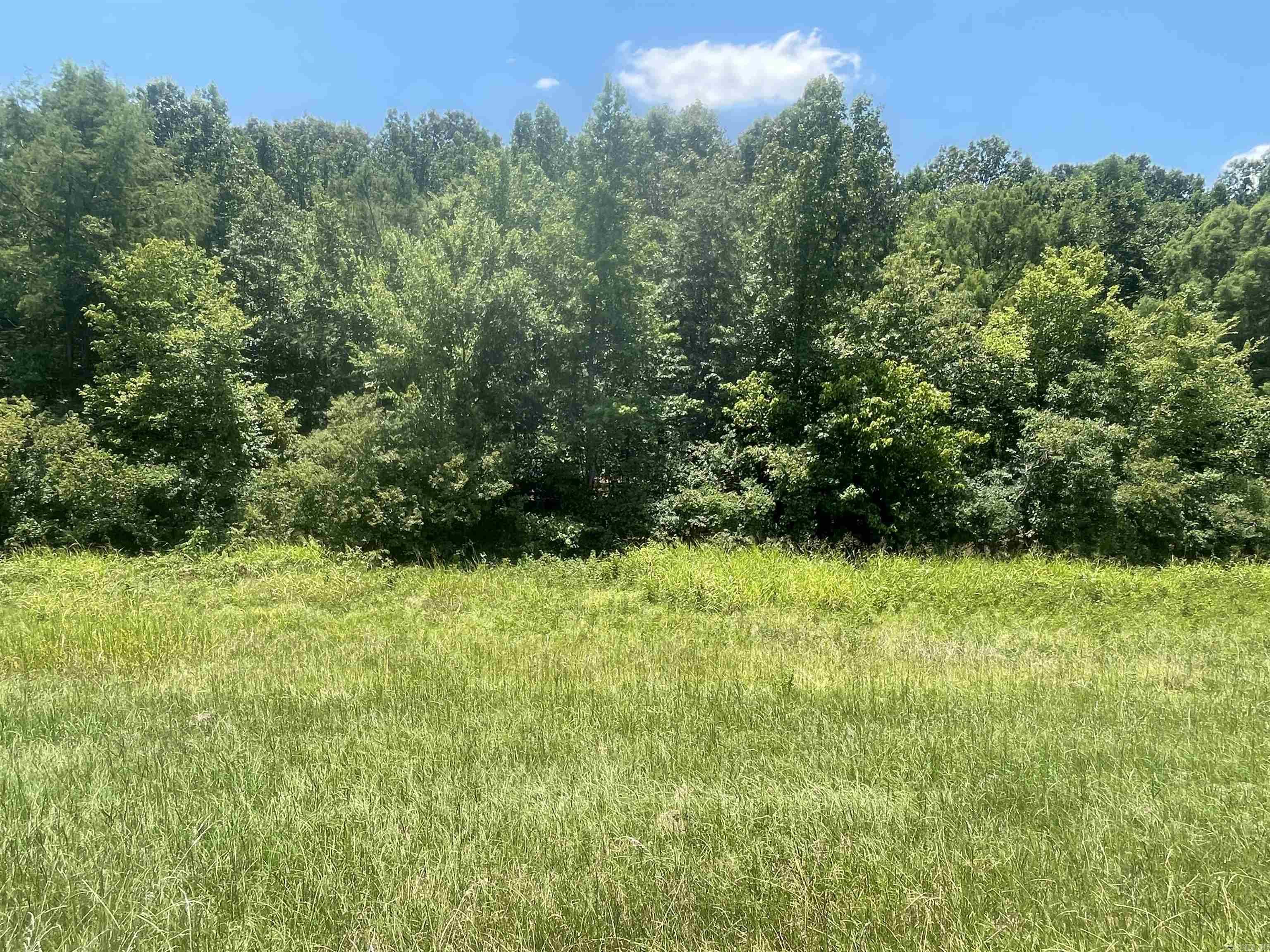 0000 Wibur D Mills  Tichnor, AR