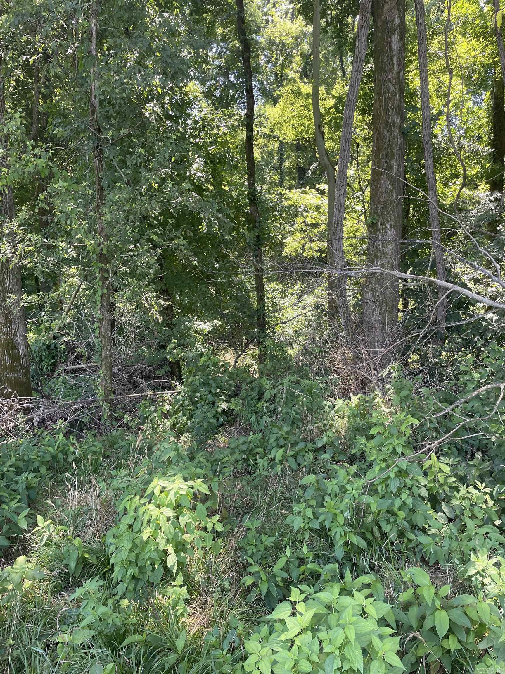 0000 Wibur D Mills  Tichnor, AR