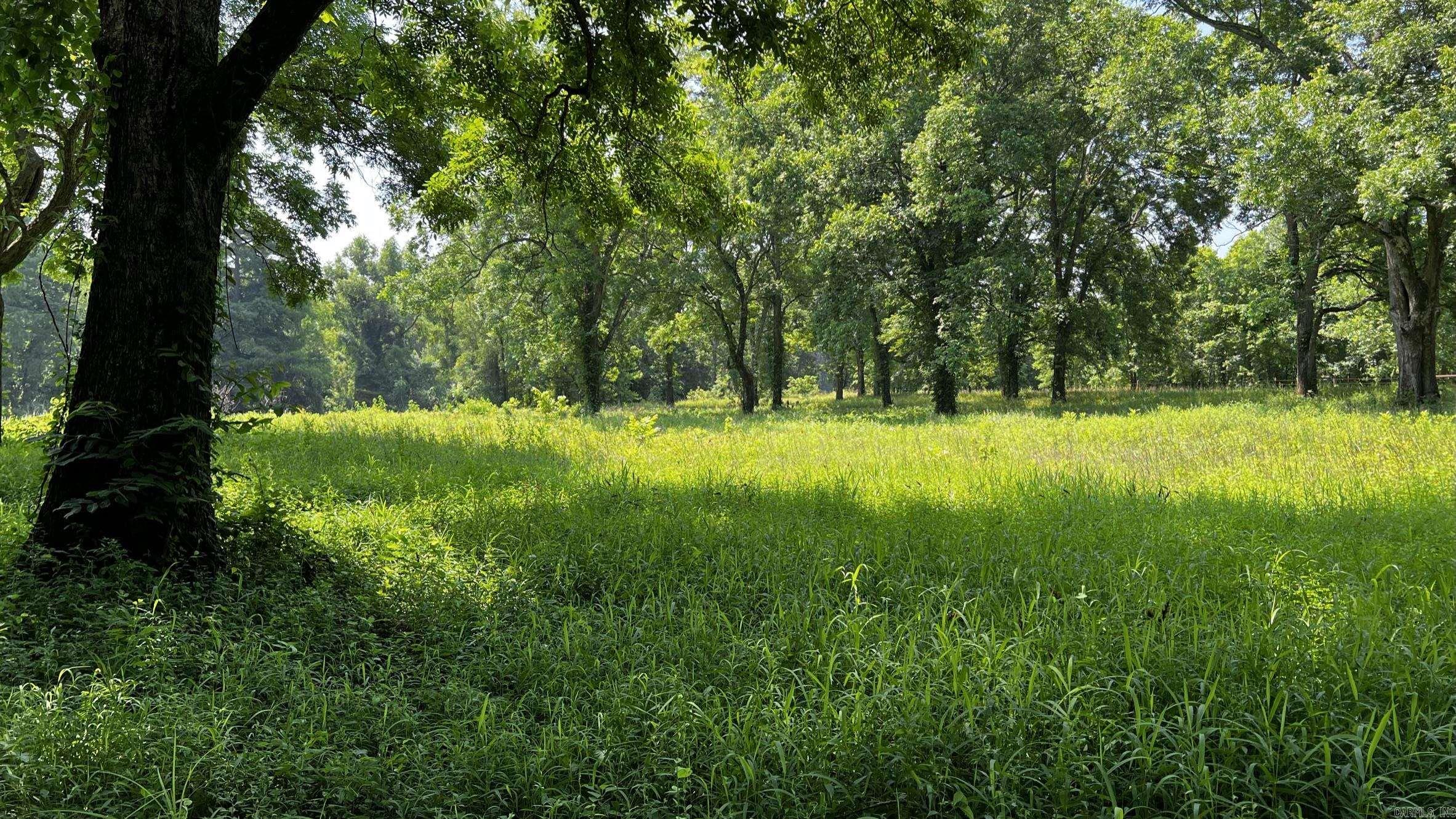 2390 CR 239 Road Helena, AR 72342