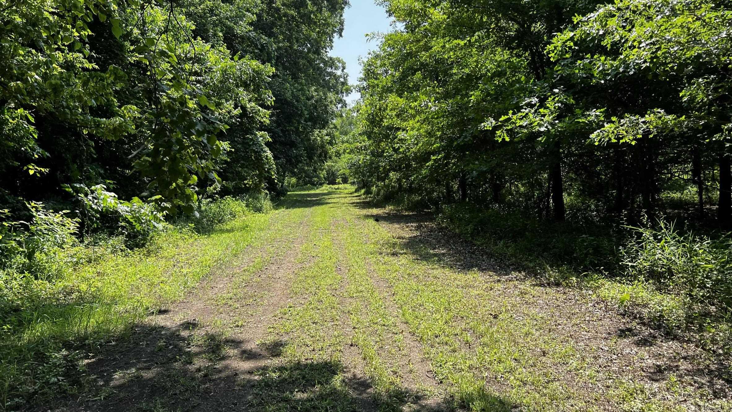 2390 CR 239 Road Helena, AR 72342