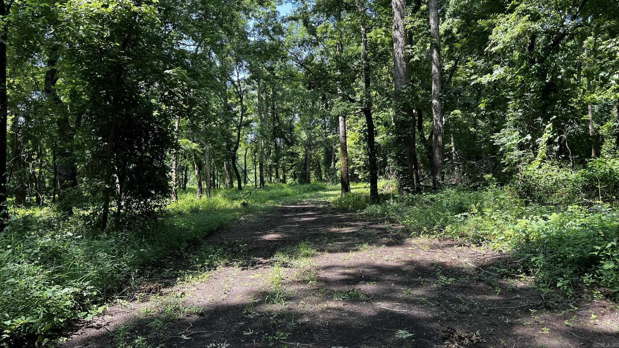 2390 CR 239 Road Helena, AR 72342