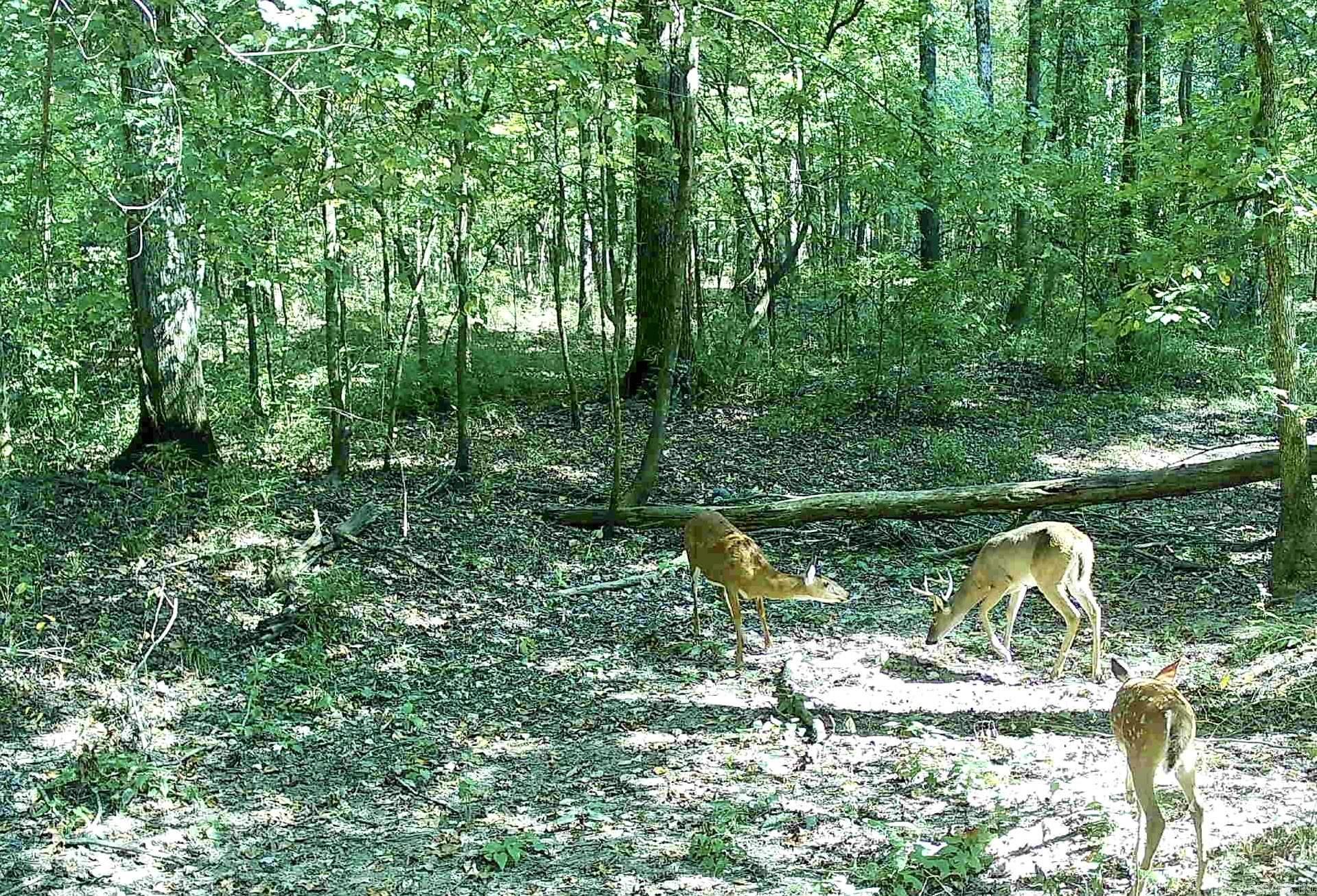 00 Turner  White Hall, AR