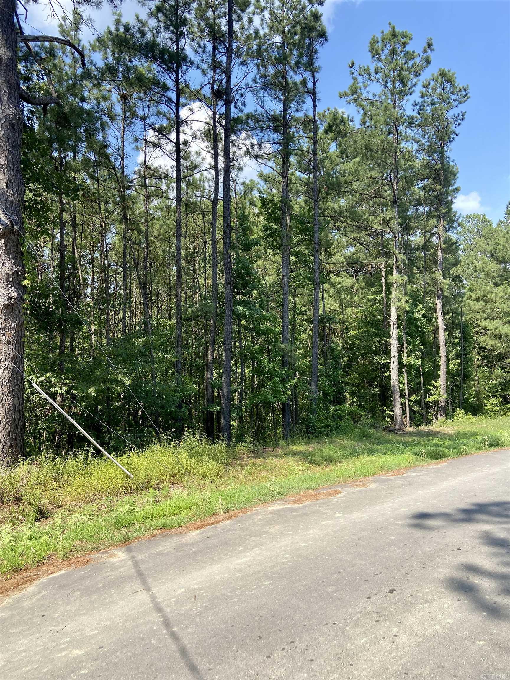 00 Turner  White Hall, AR