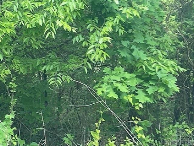 lot 58 Town Park Way  Mountain Home, AR