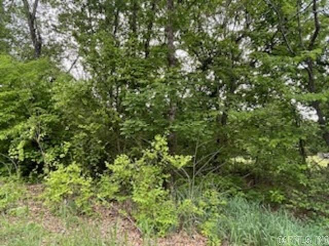 lot 58 Town Park Way  Mountain Home, AR