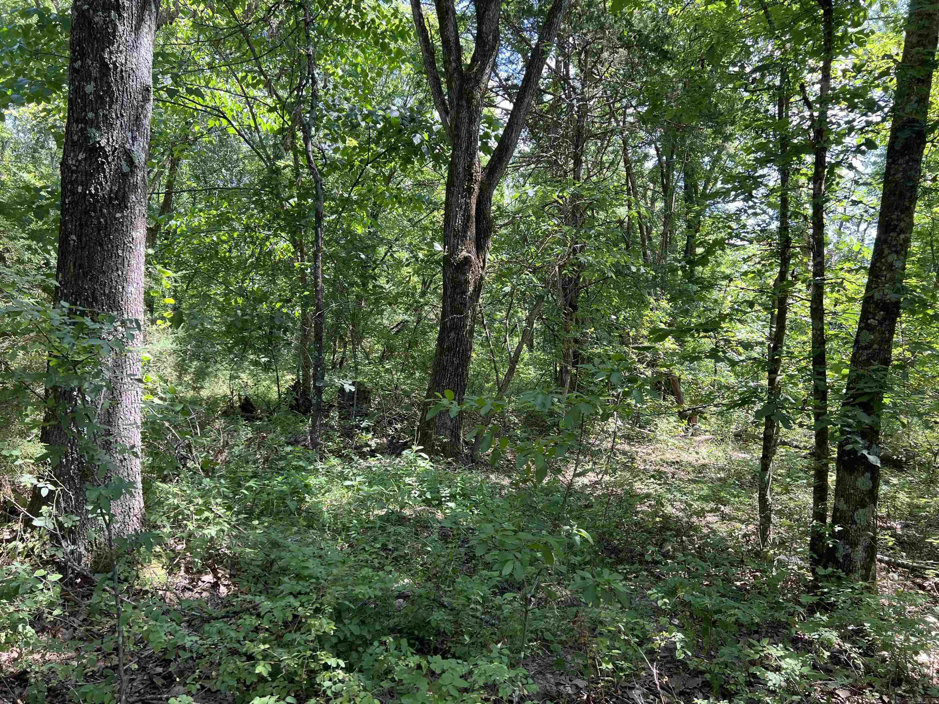  5.49 Acres on Meadow Creek Drive  Harrison, AR