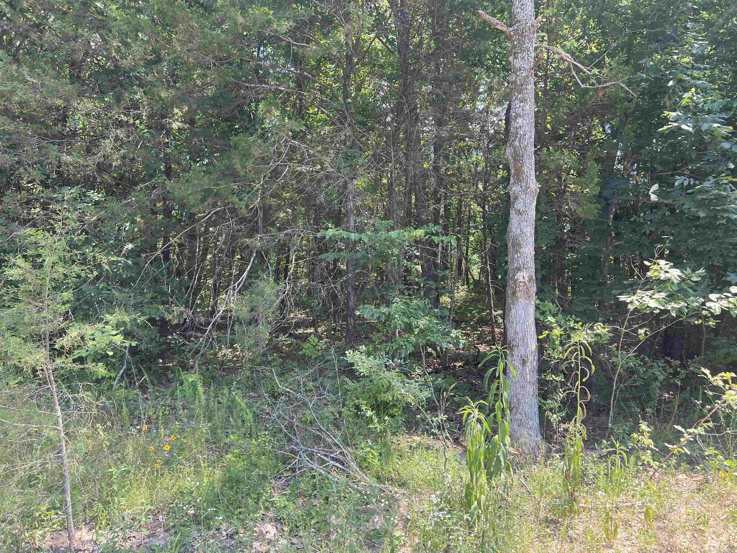  5.49 Acres on Meadow Creek Drive  Harrison, AR