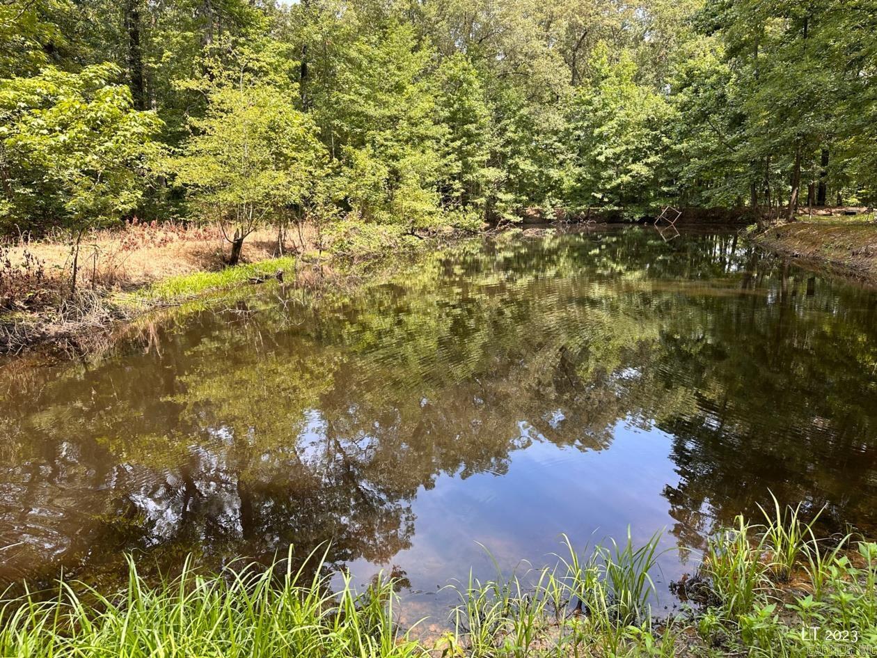 10340 N HWY 31  Austin, AR