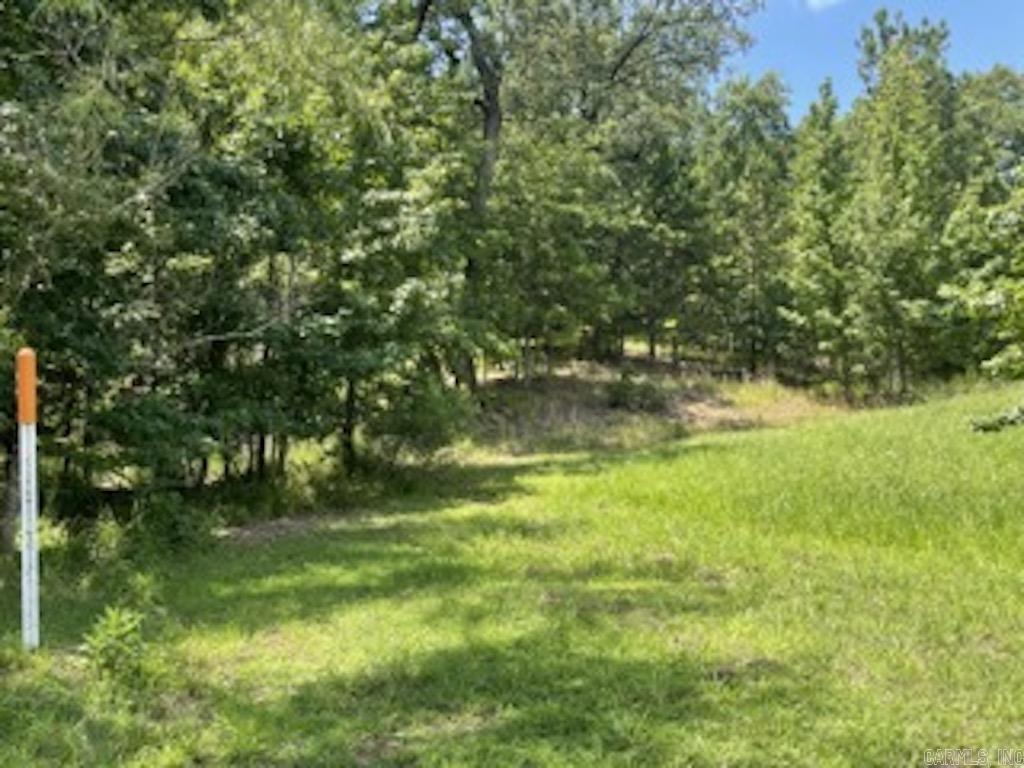 107 Navajo Trail  Maumelle, AR