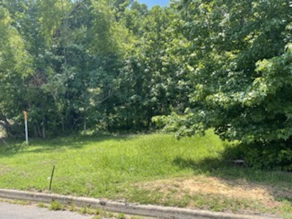 107 Navajo Trail  Maumelle, AR