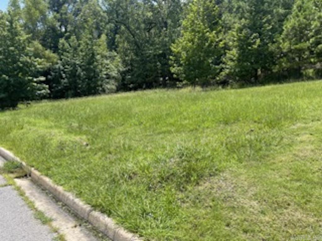 109 Navajo Trail  Maumelle, AR