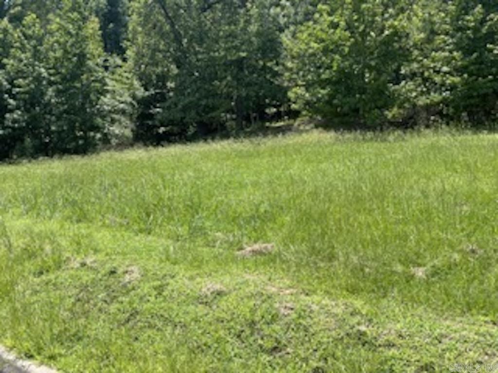 109 Navajo Trail  Maumelle, AR