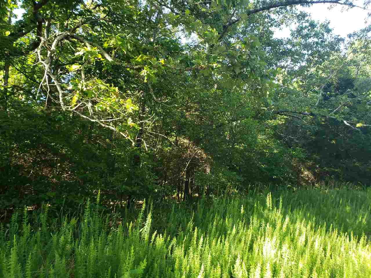 L-57, B-4 Oho  Cherokee Village, AR