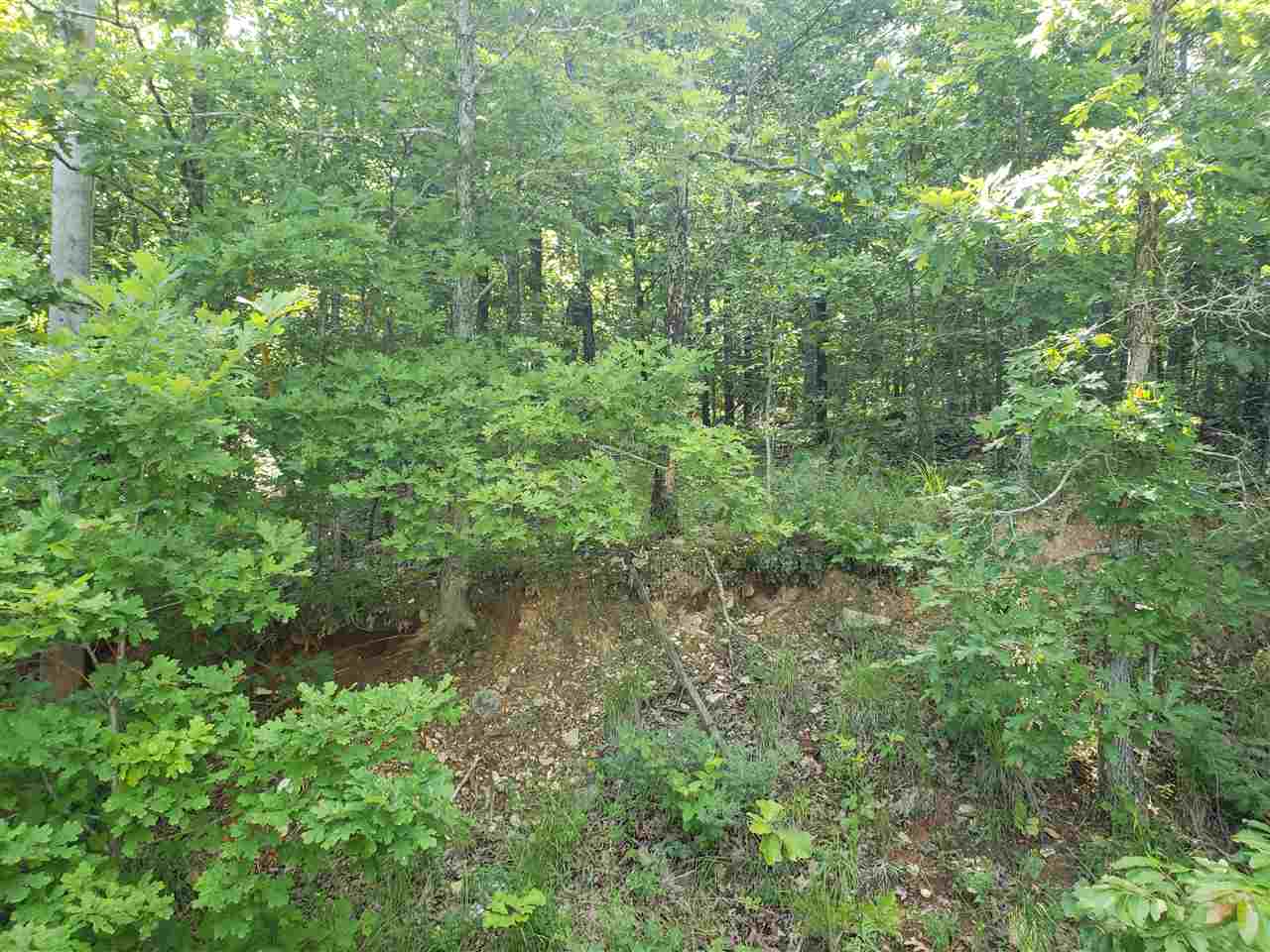 L-8, B-4 Haynie  Cherokee Village, AR