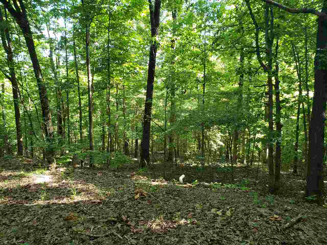 L-8, B-4 Haynie  Cherokee Village, AR