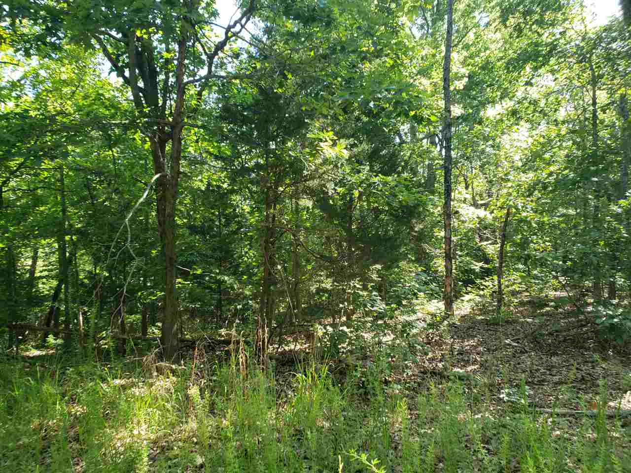 L-5, B-1 Arivaipa  Cherokee Village, AR