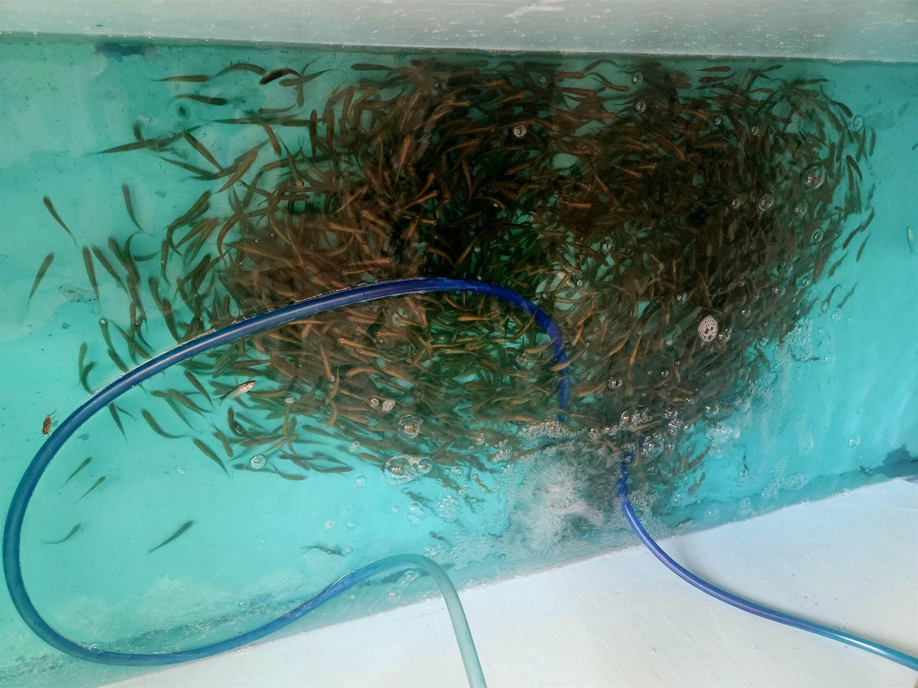 15920-16000 N I-30  Benton, AR