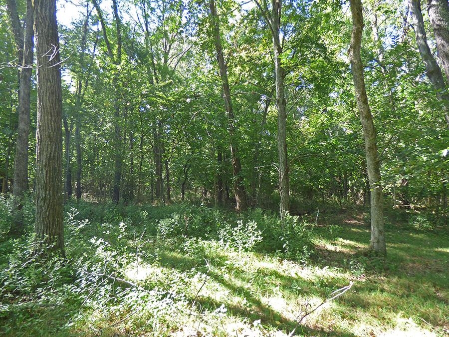  Kere  Cherokee Village, AR