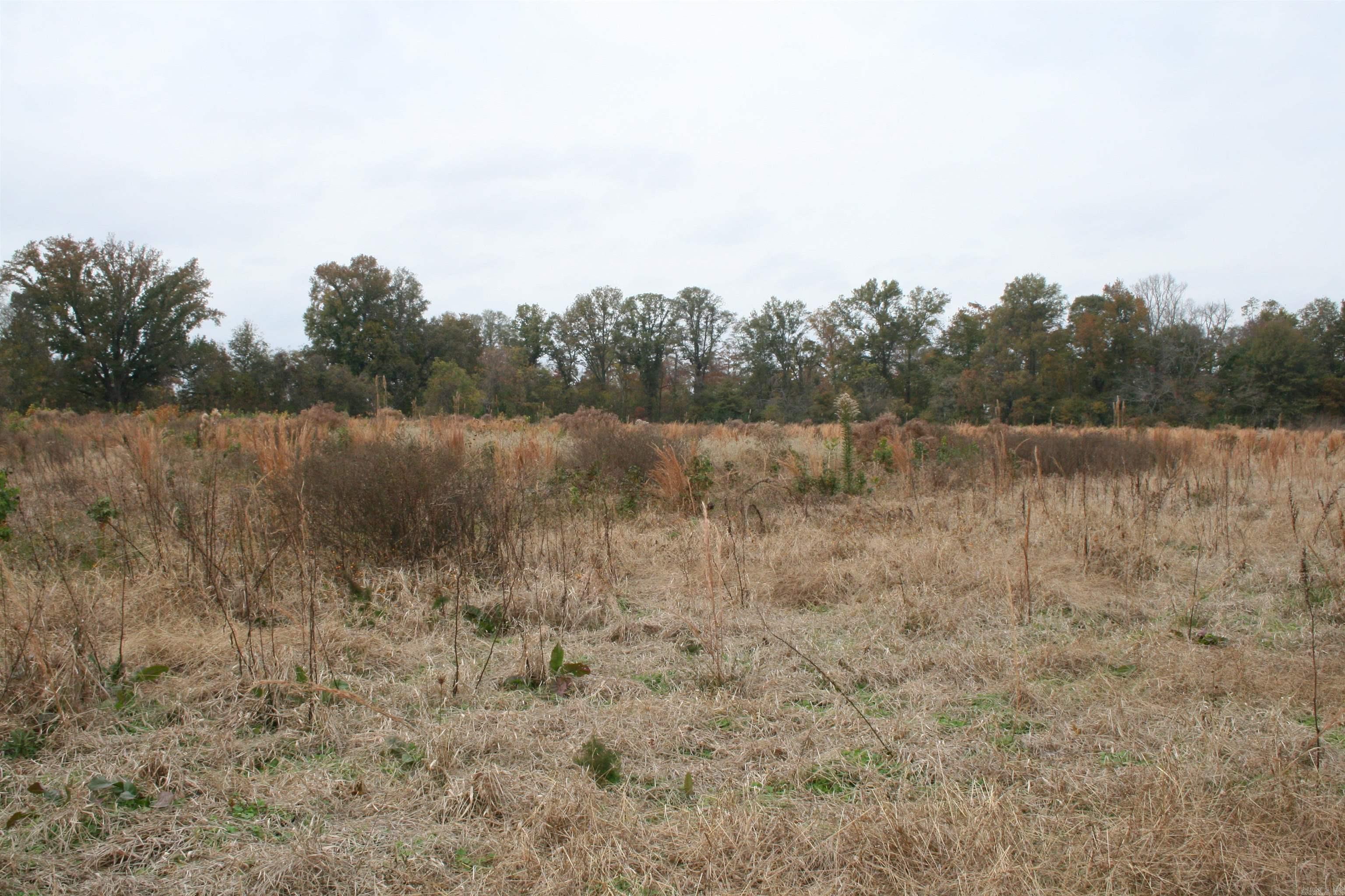  Ashley 209 S.  Parkdale, AR