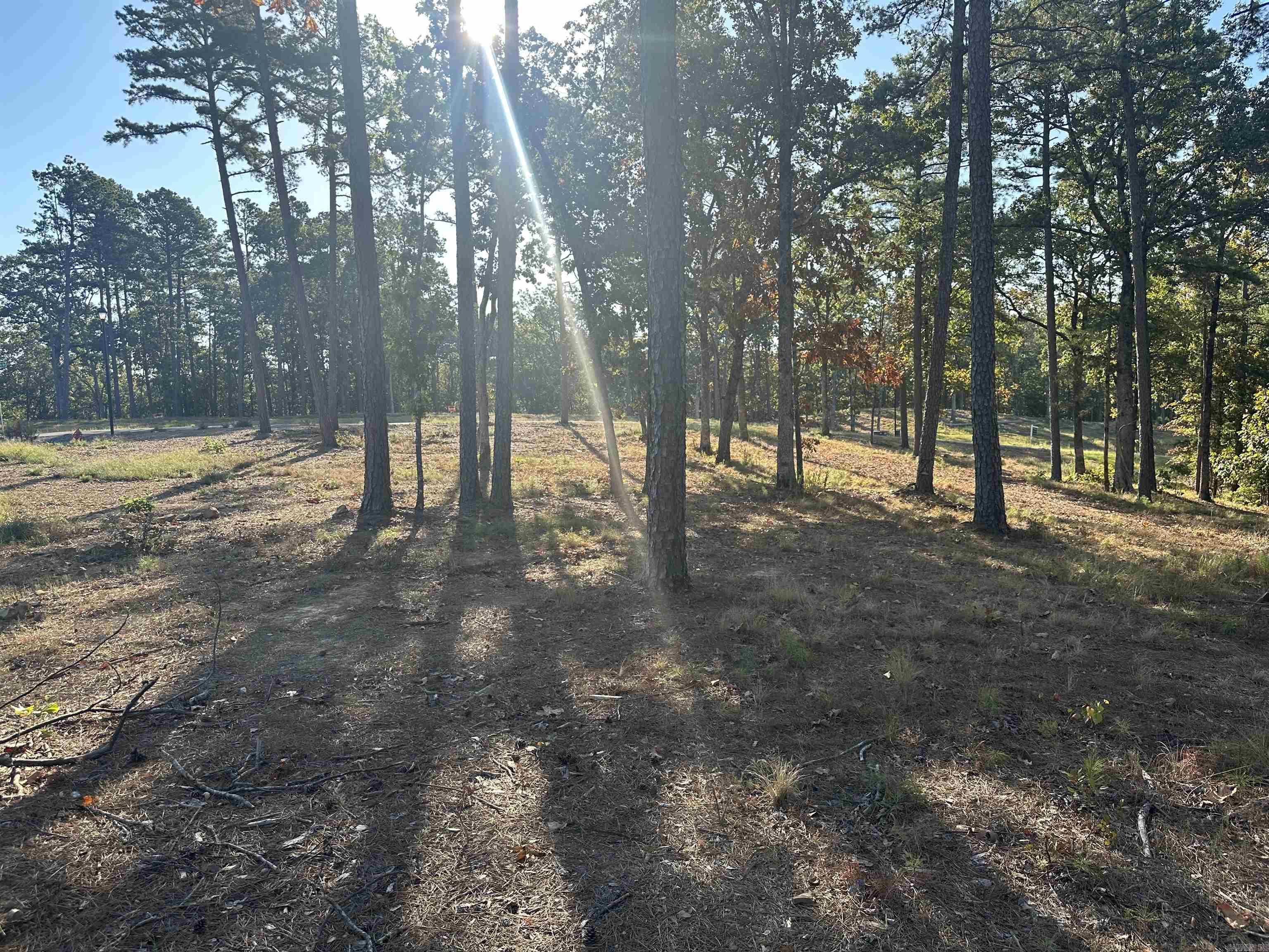 2915 Orchard View Drive