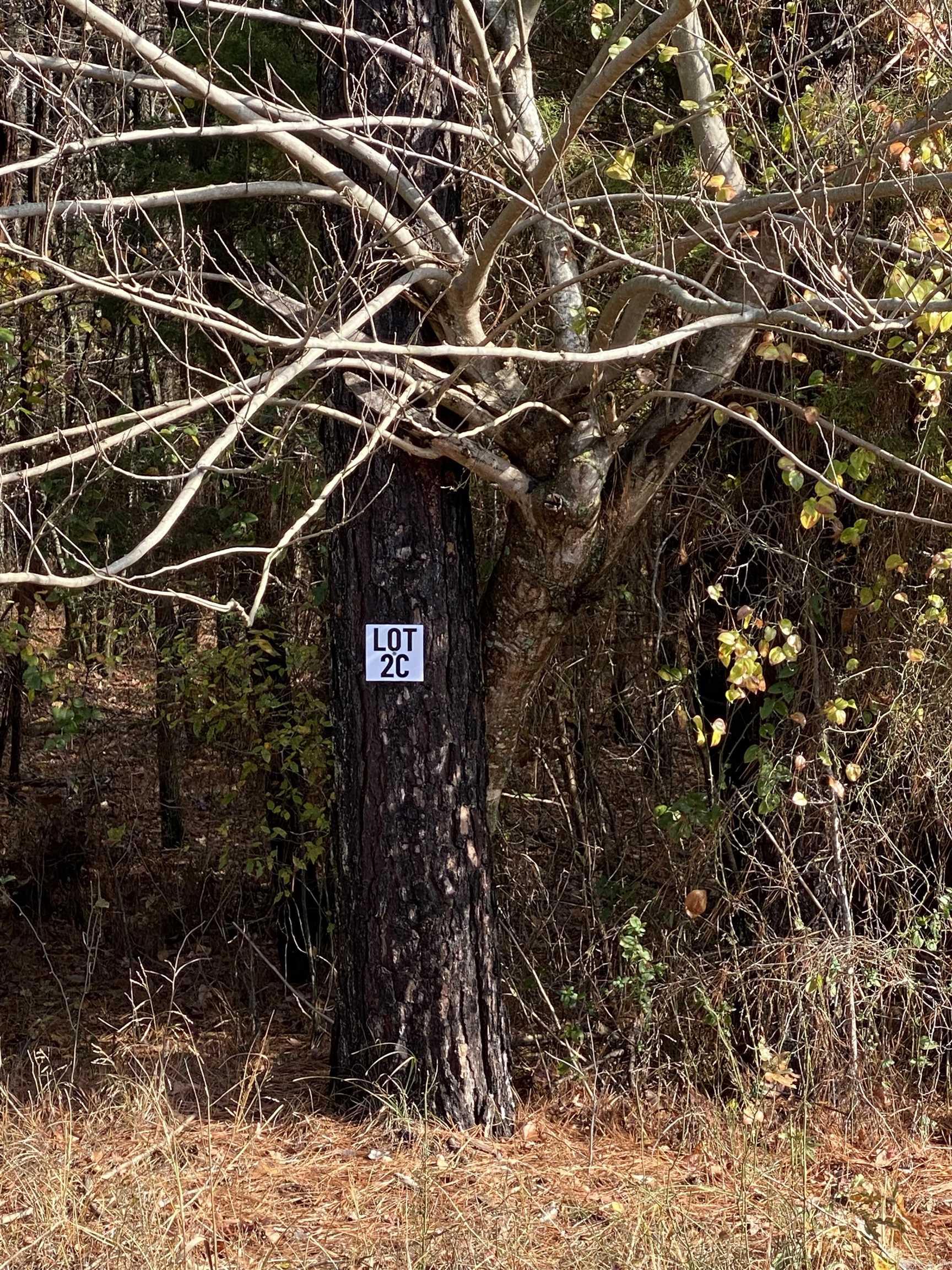 2C Hwy 89  Cabot, AR