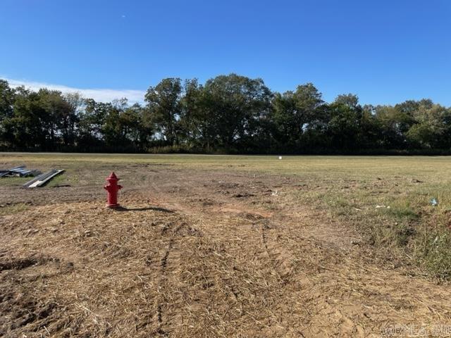  Bobby Glover Blvd  Carlisle, AR