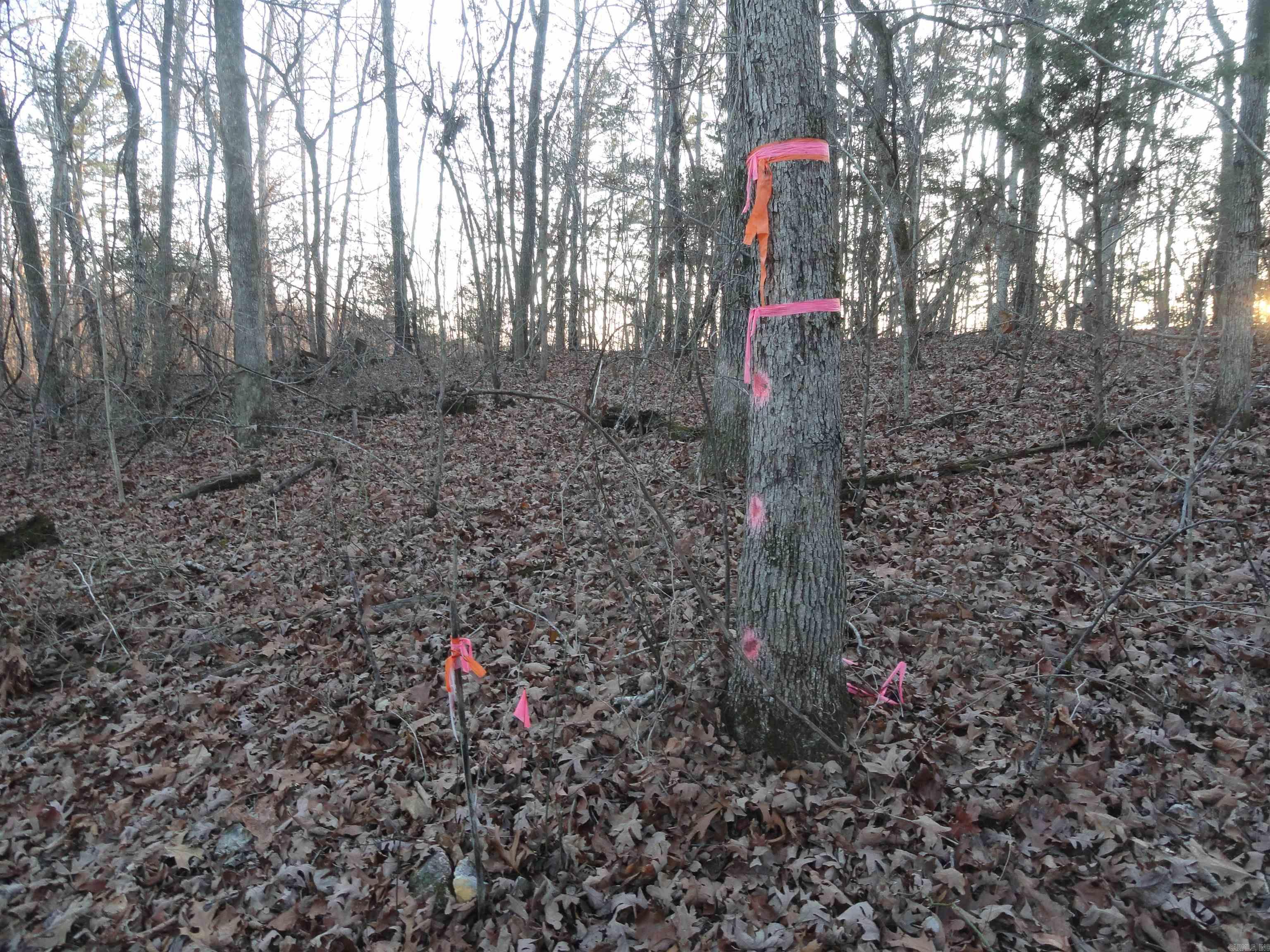 313 Mayapple Road Harriet, AR 72639