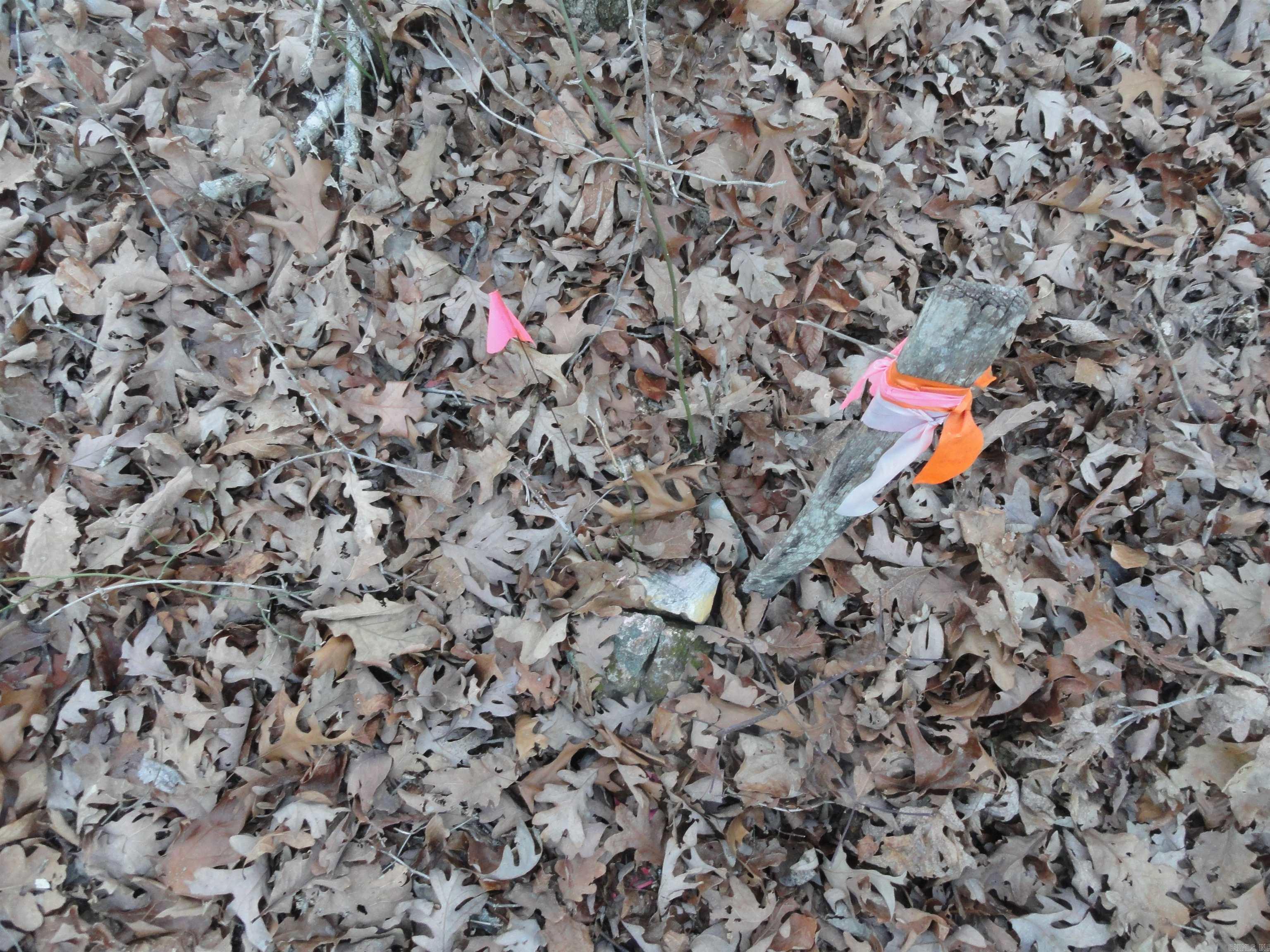 313 Mayapple Road Harriet, AR 72639