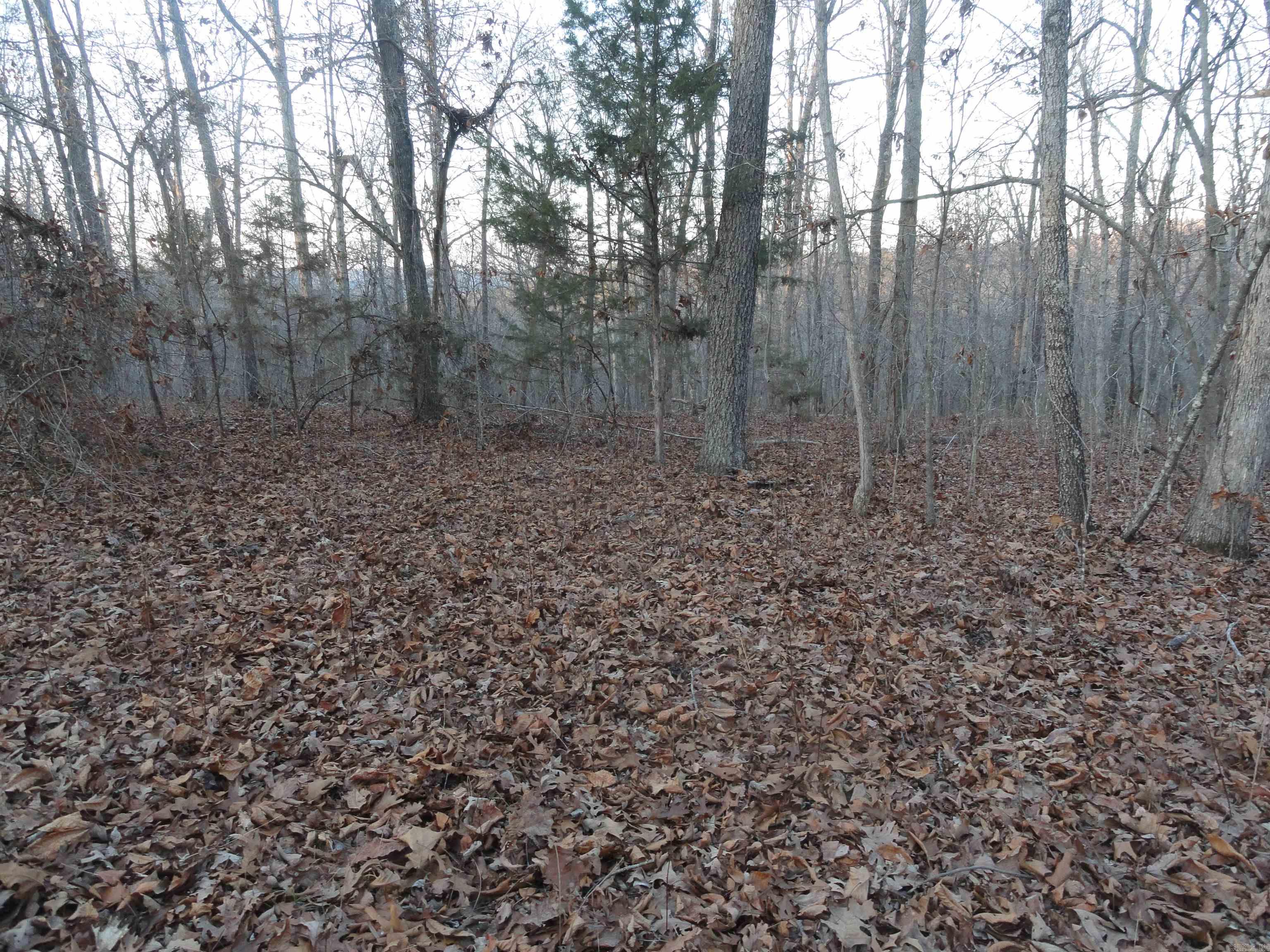 313 Mayapple Road Harriet, AR 72639