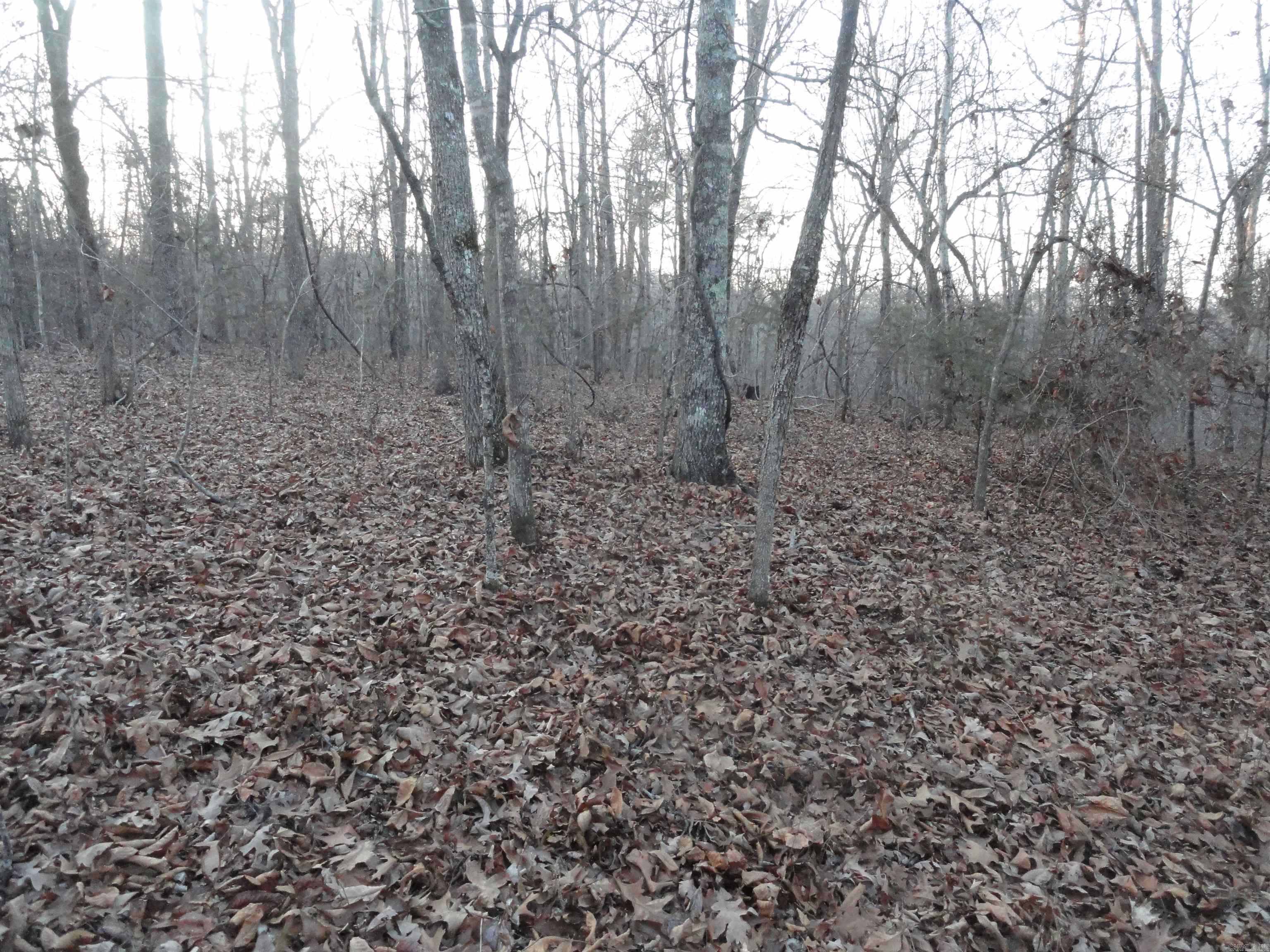 313 Mayapple Road Harriet, AR 72639