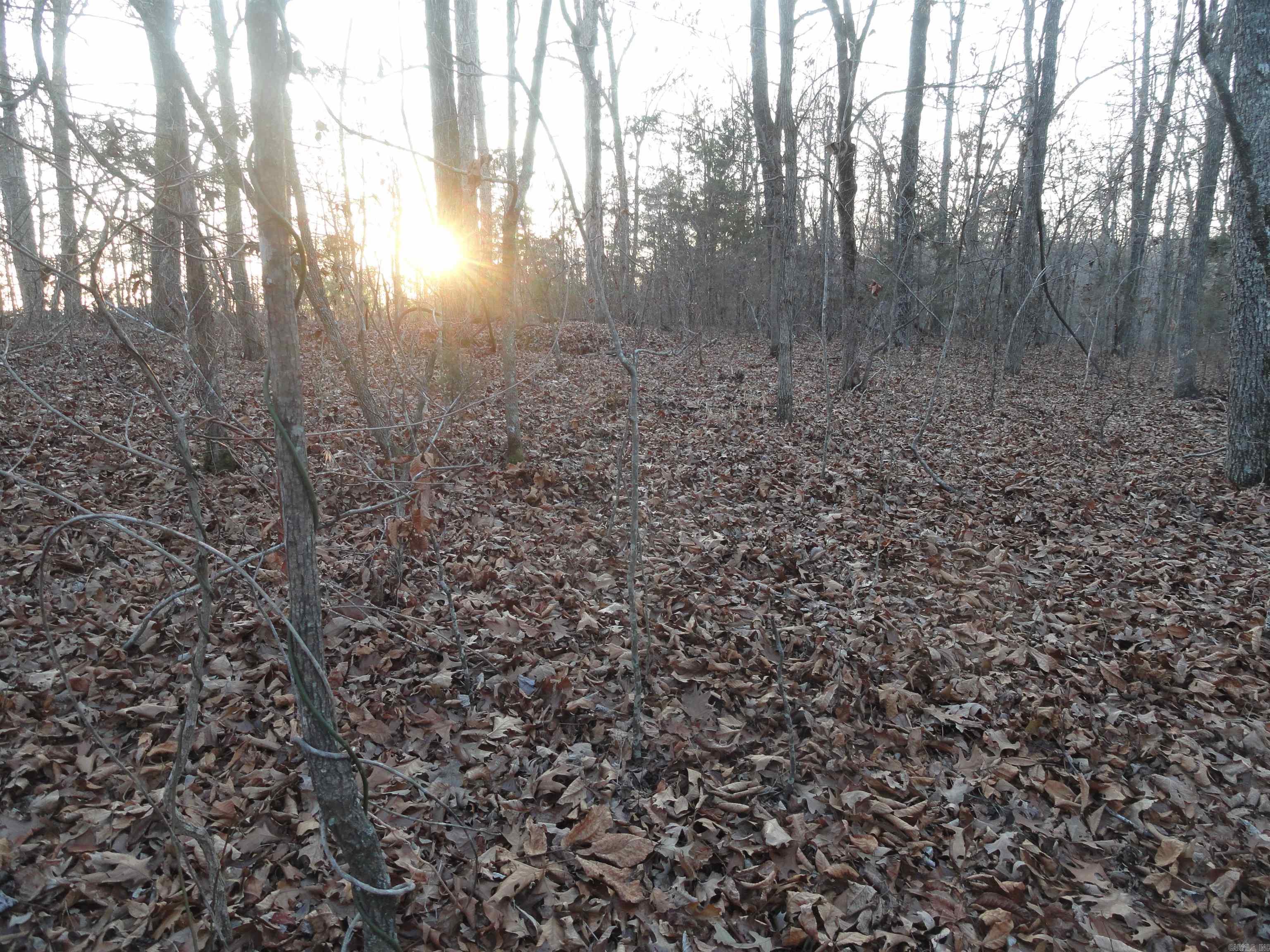 313 Mayapple Road Harriet, AR 72639