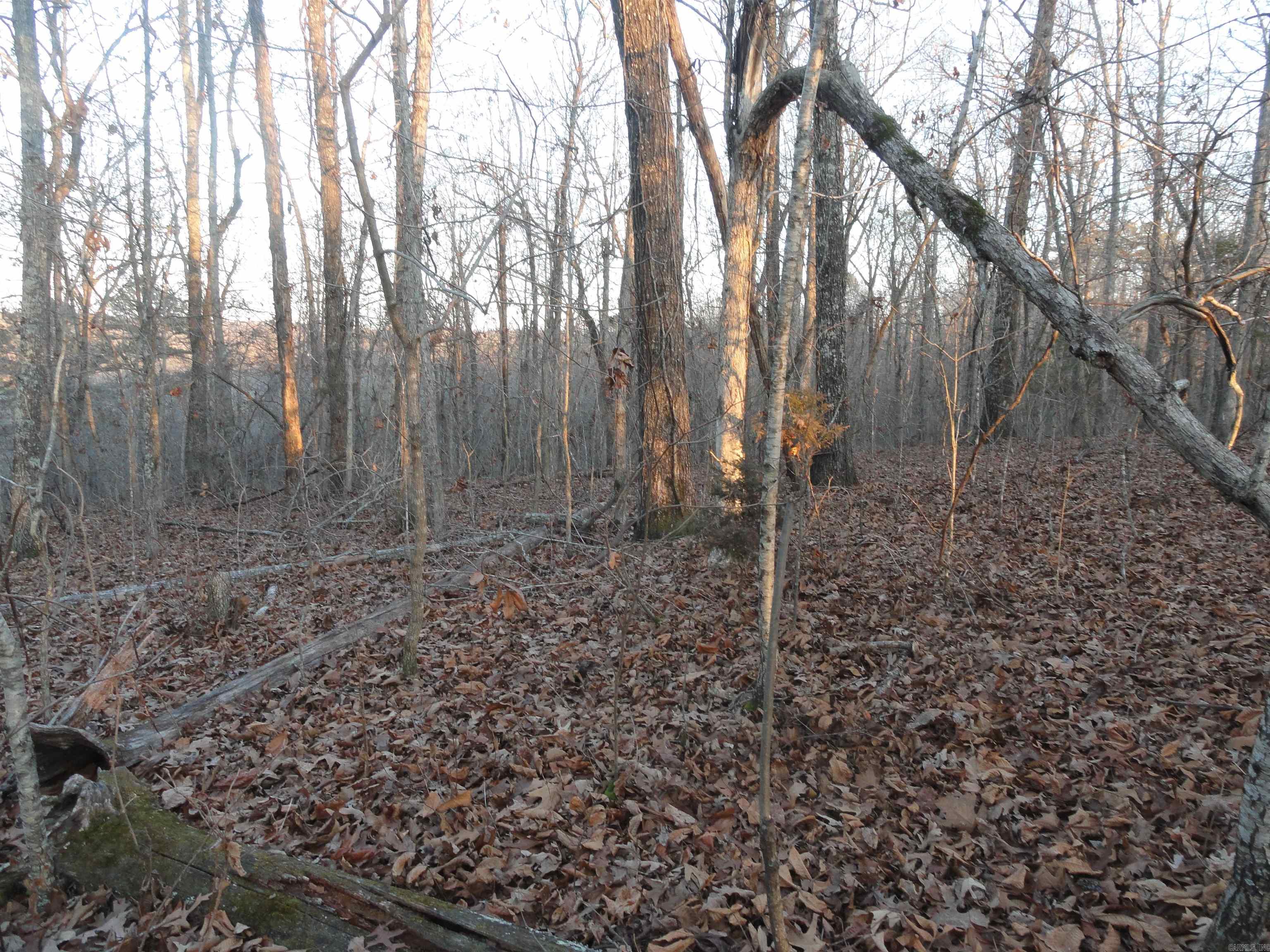 313 Mayapple Road Harriet, AR 72639