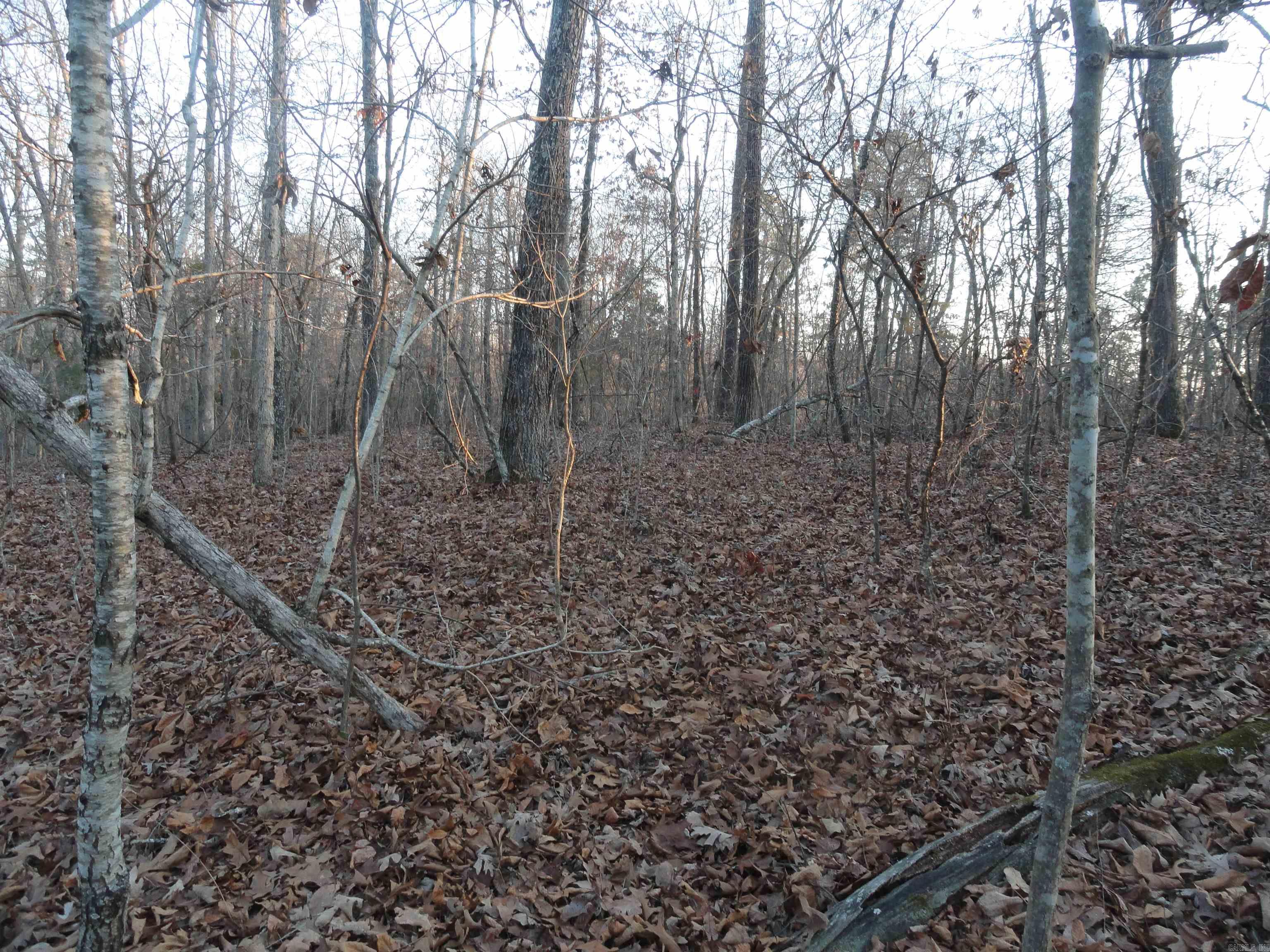 313 Mayapple Road Harriet, AR 72639