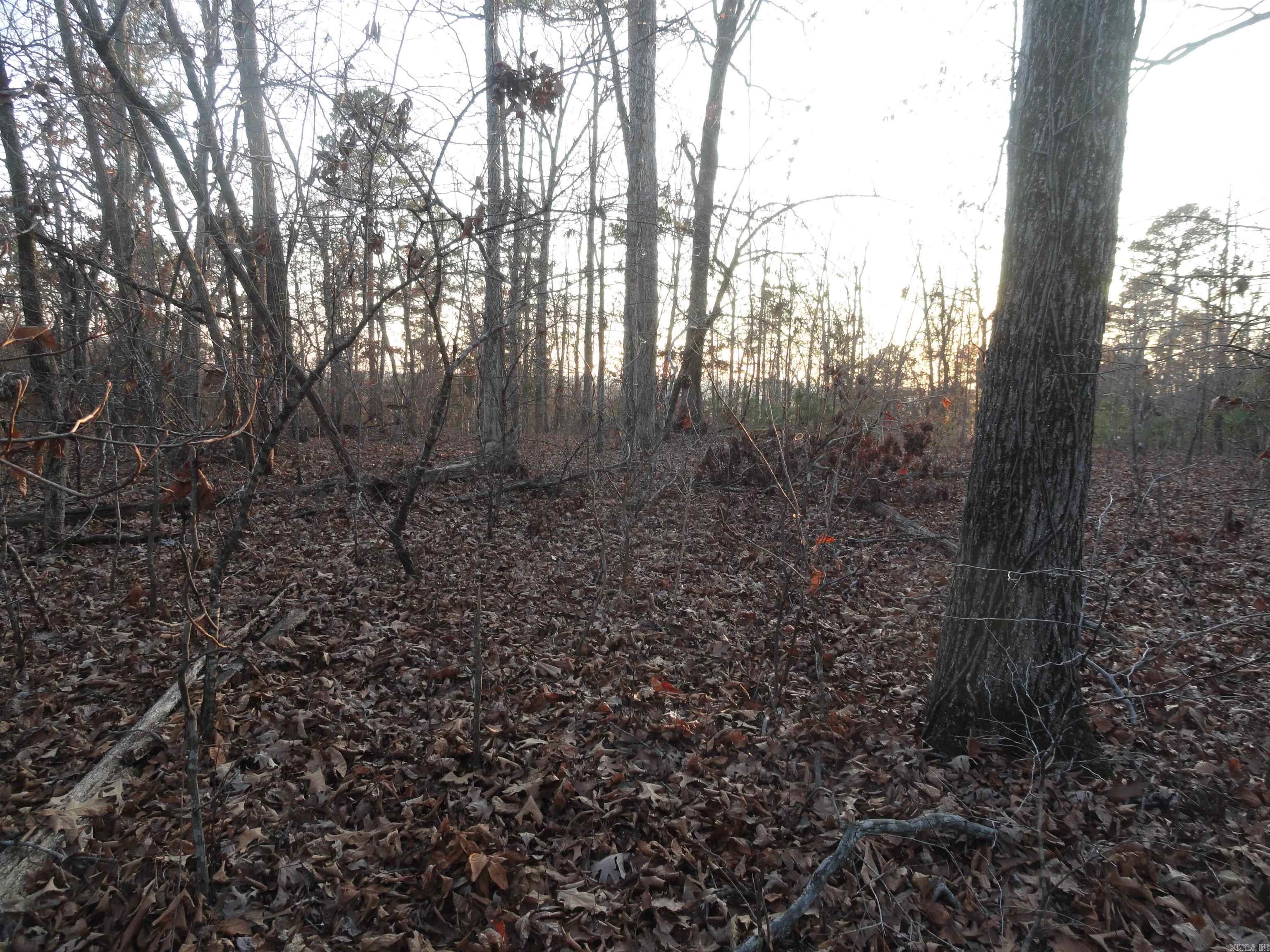 313 Mayapple Road Harriet, AR 72639